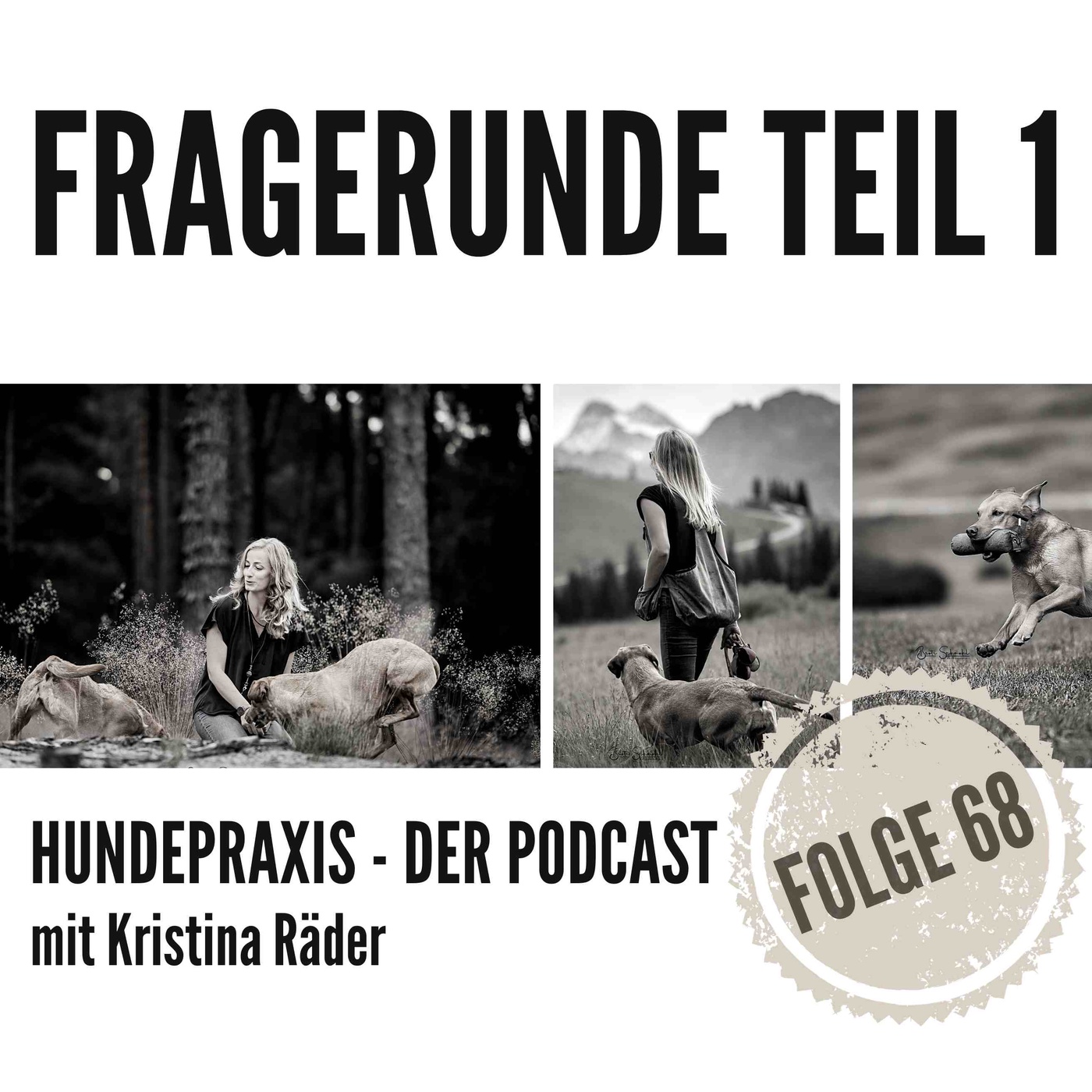 Fragerunde Teil 1