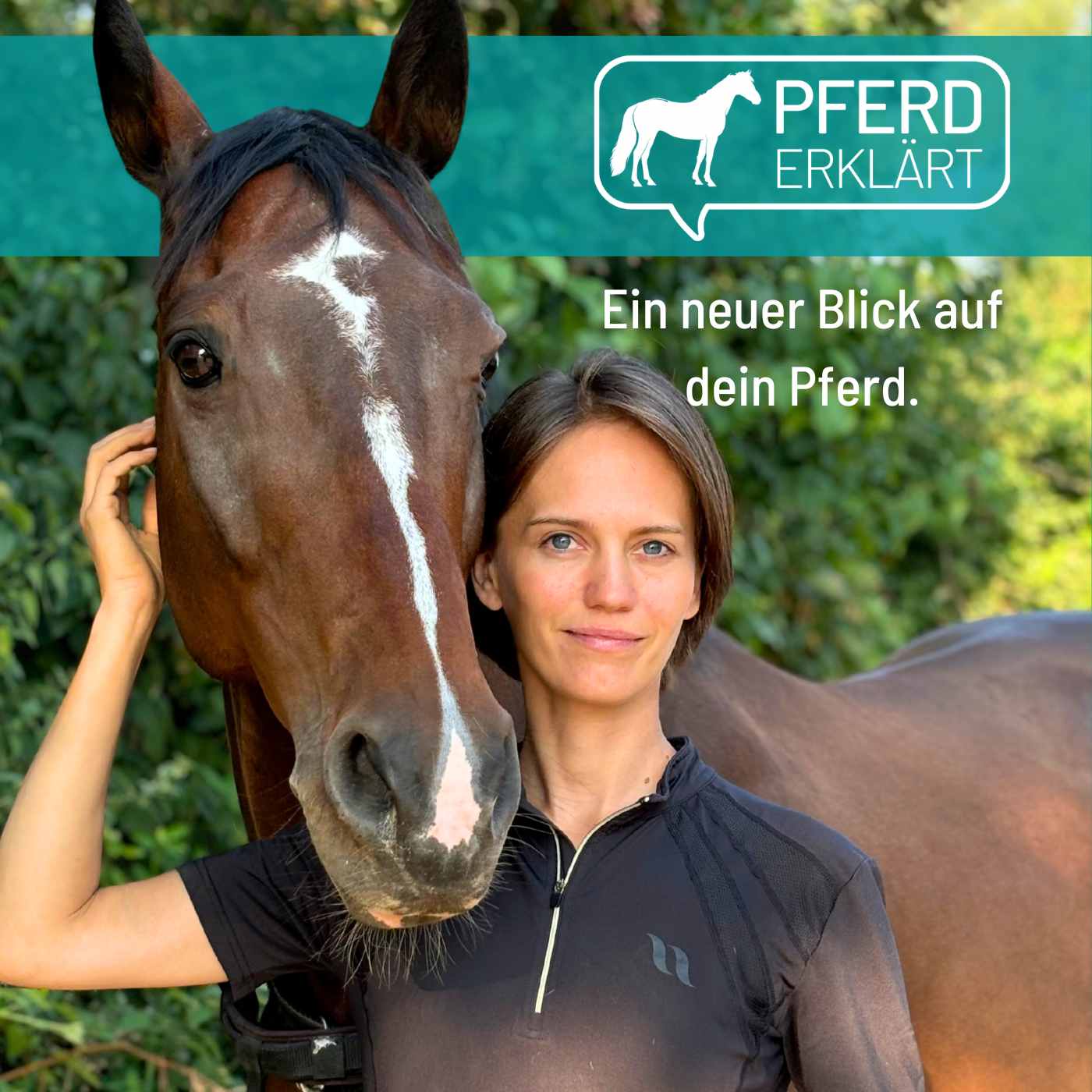 Pferd erklärt