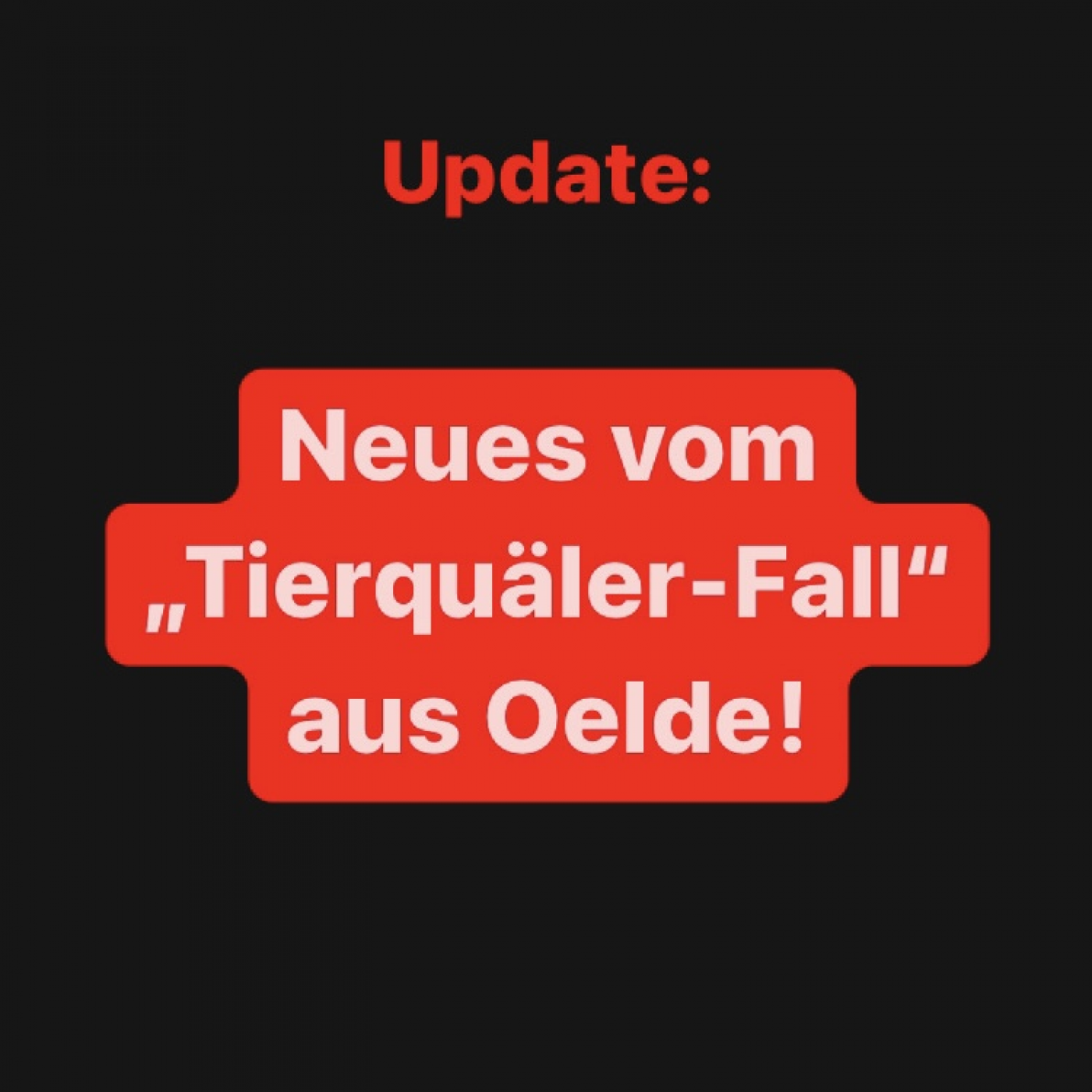 Neues vom Tierquäler- Fall aus Oelde 