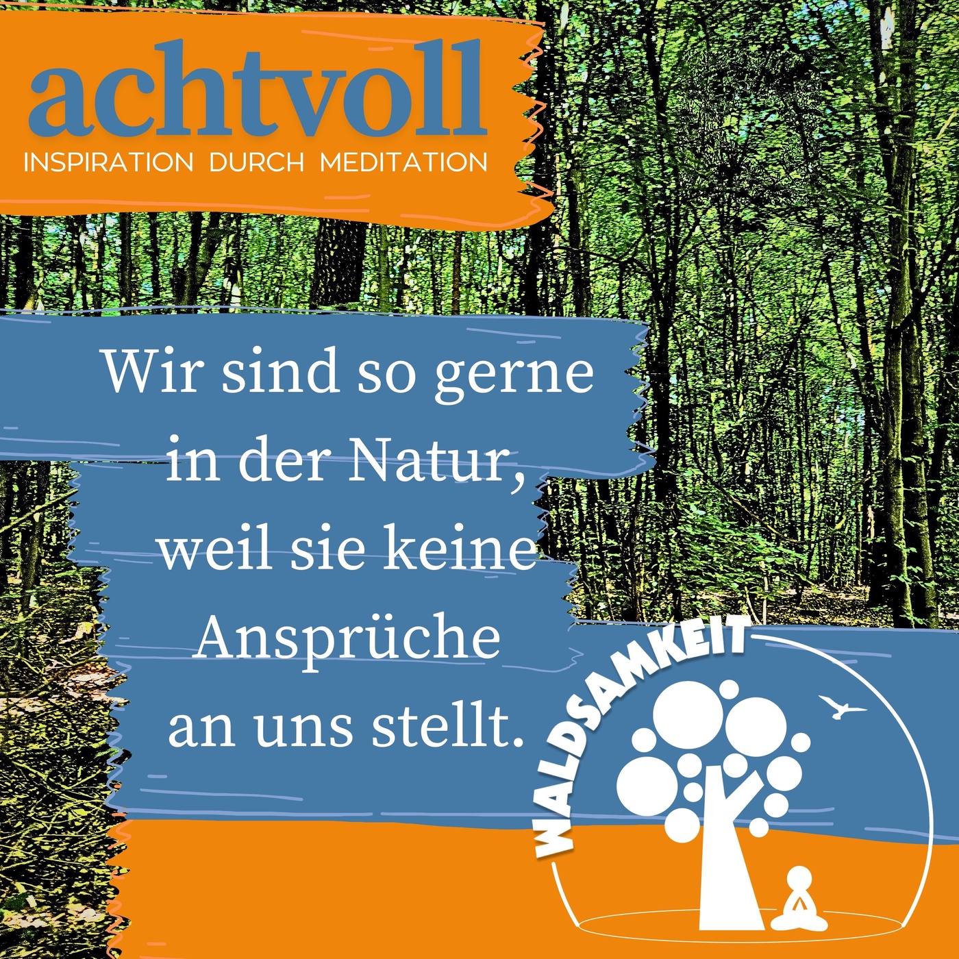 #09 Waldsamkeit