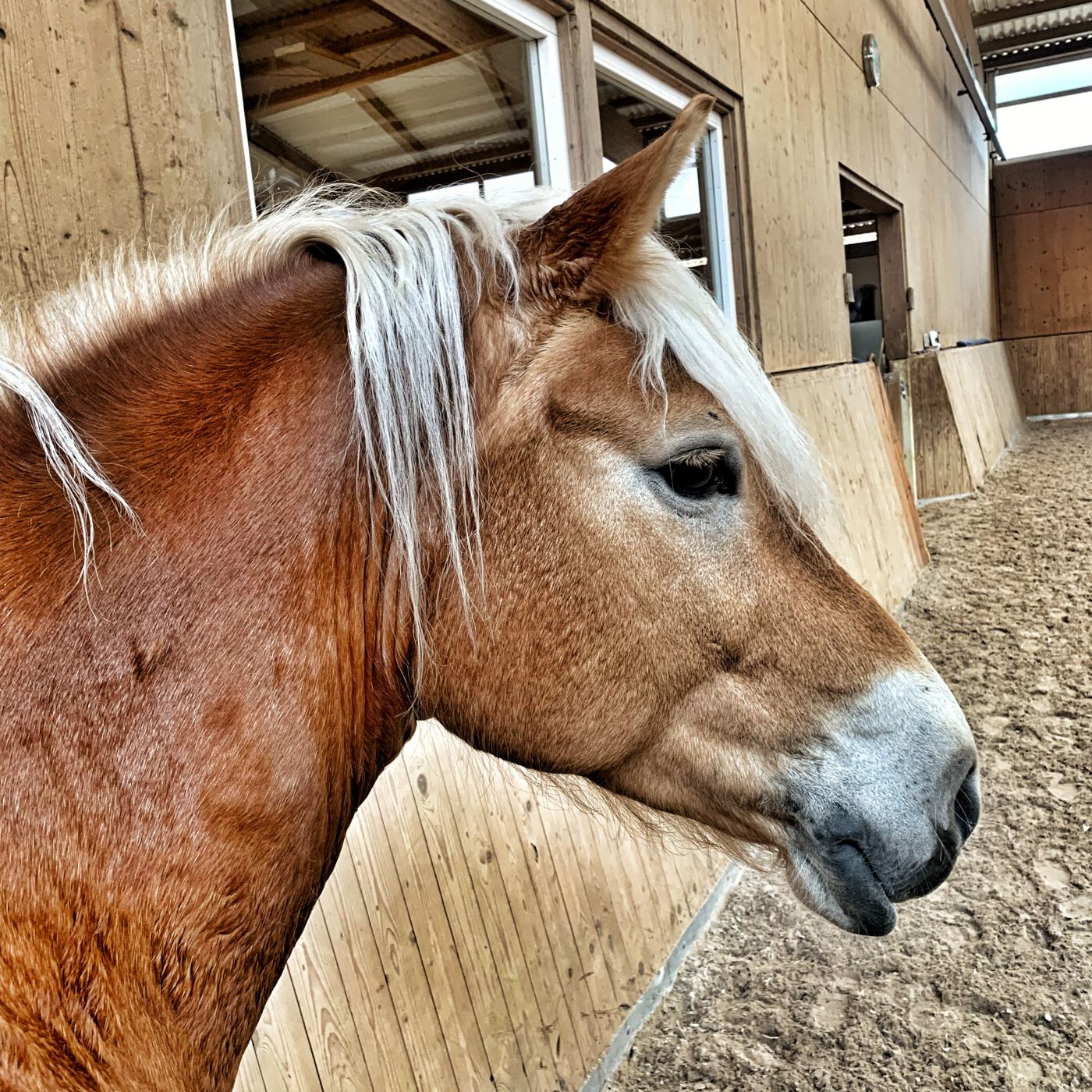 Episode 160 - Gebeugte Hanken in Lack und Leder