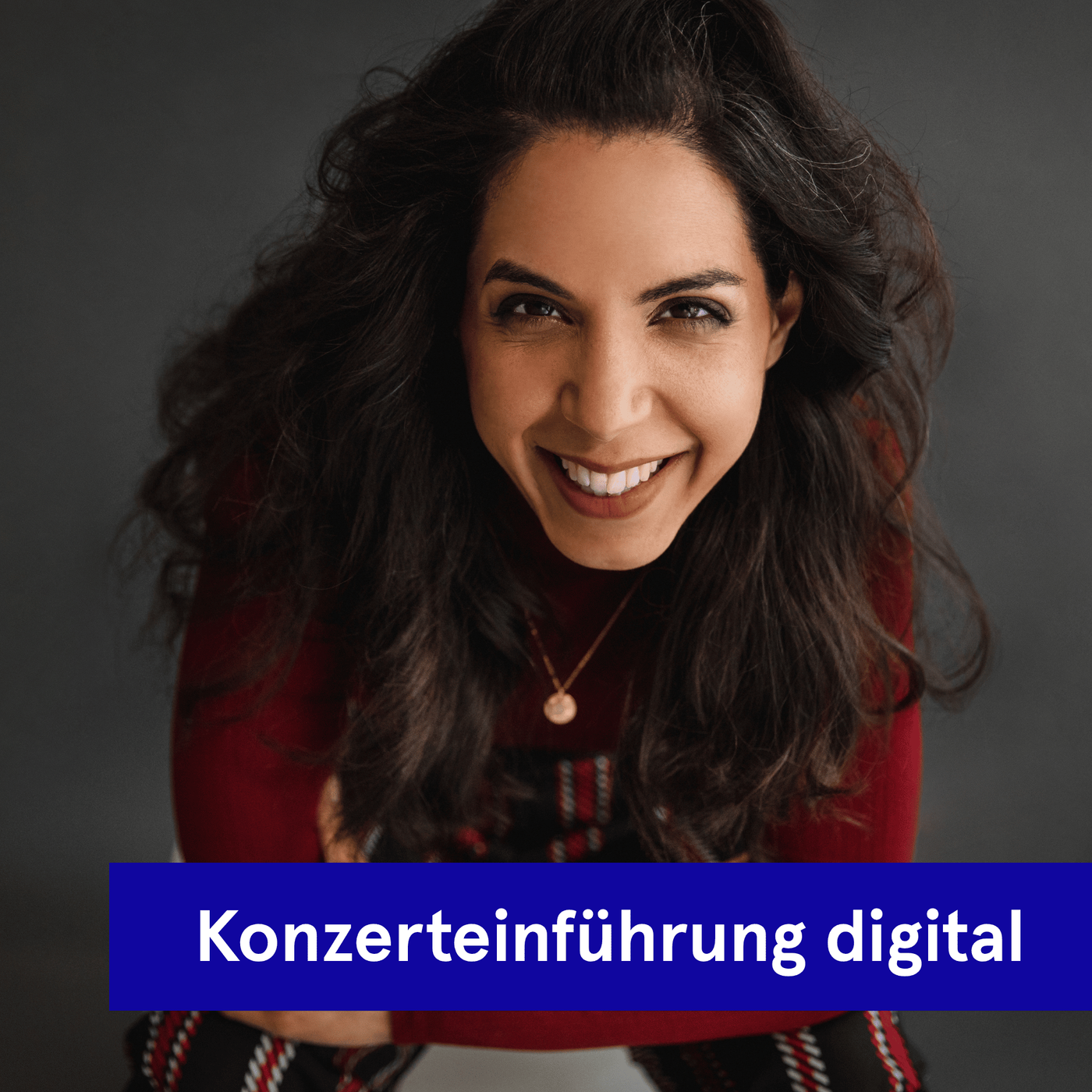 Digitale Konzerteinführung | Brahms Violinkonzert