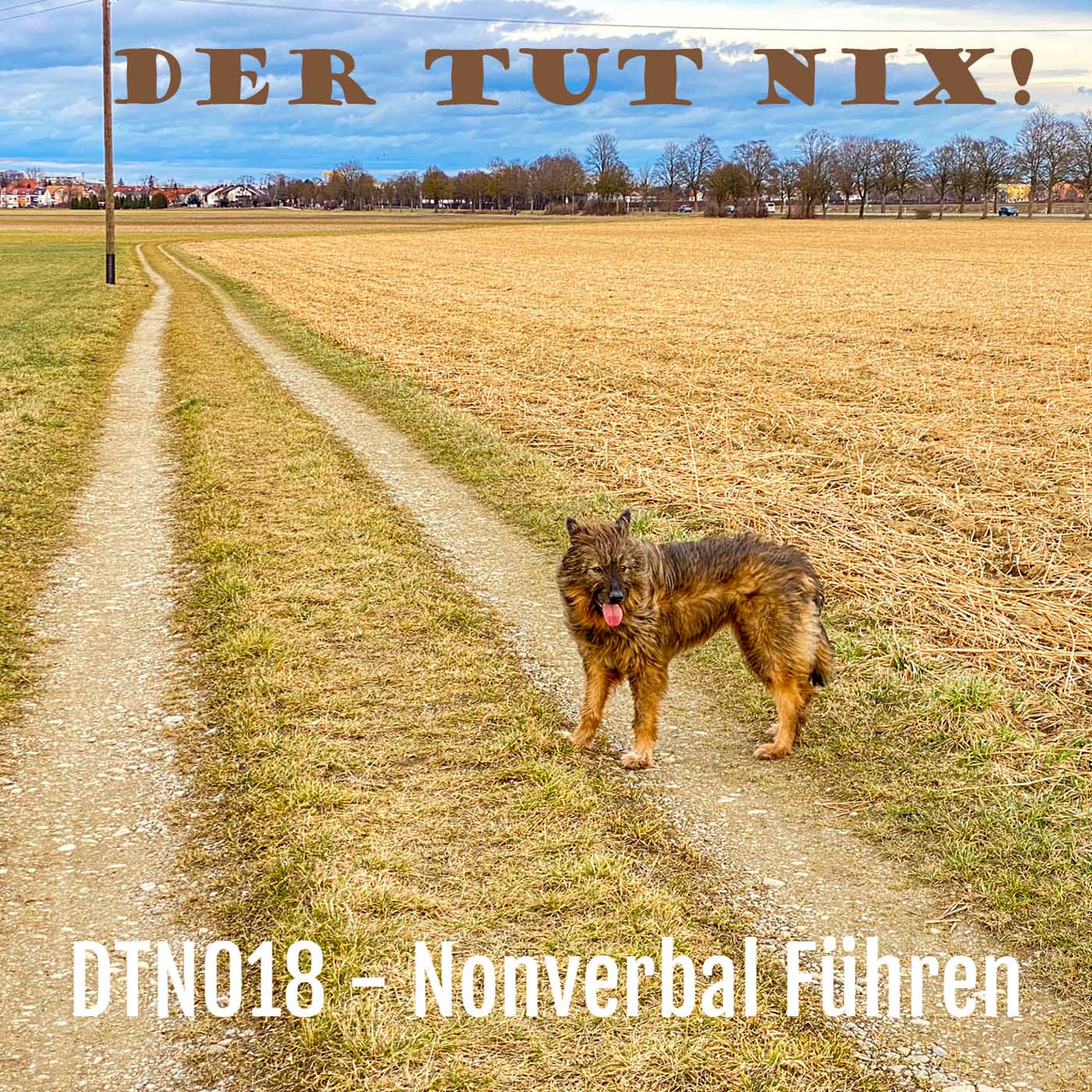 DTN018 - Nonverbal körpersprachlich führen