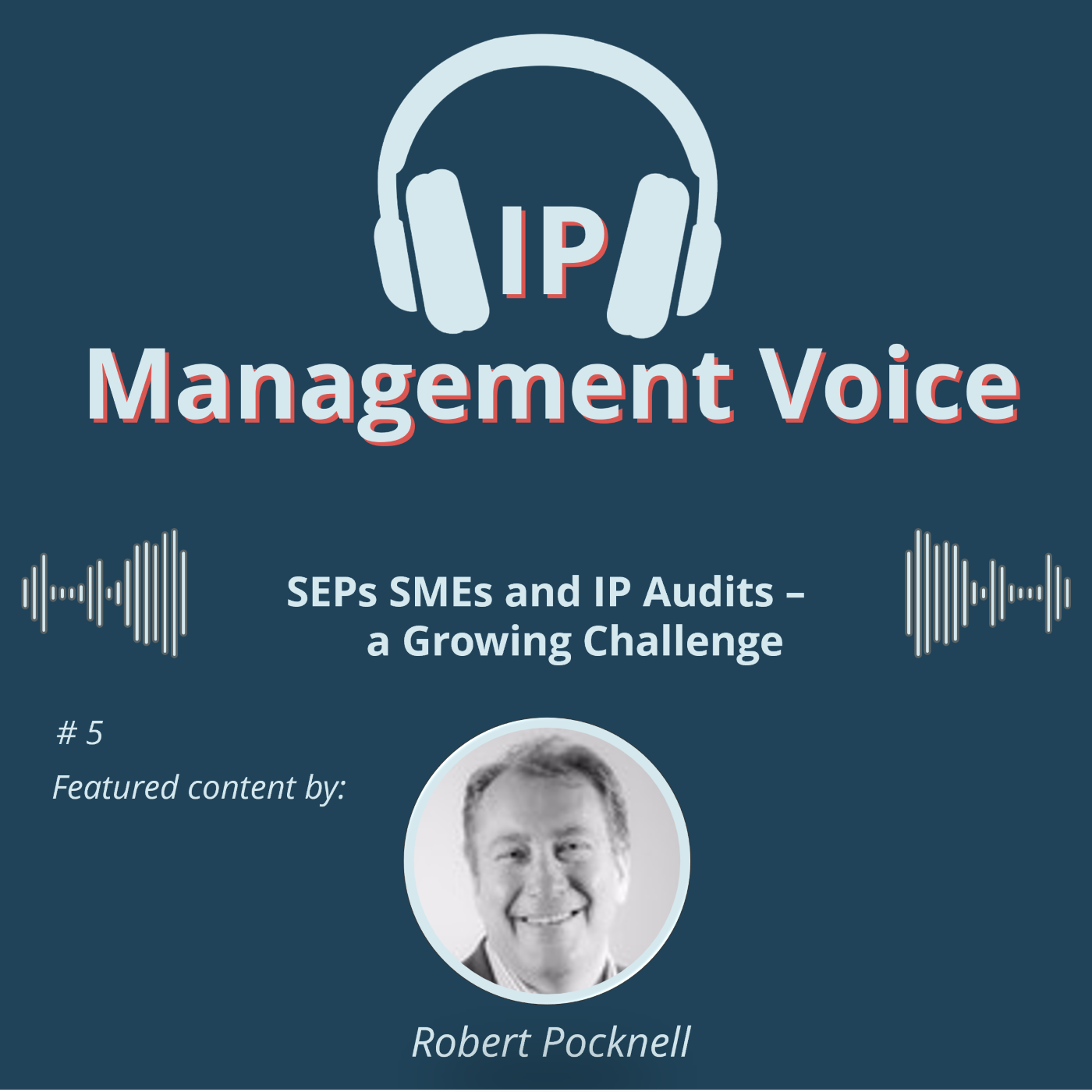 #5 SEPs SMEs and IP Audits – a Growing Challenge