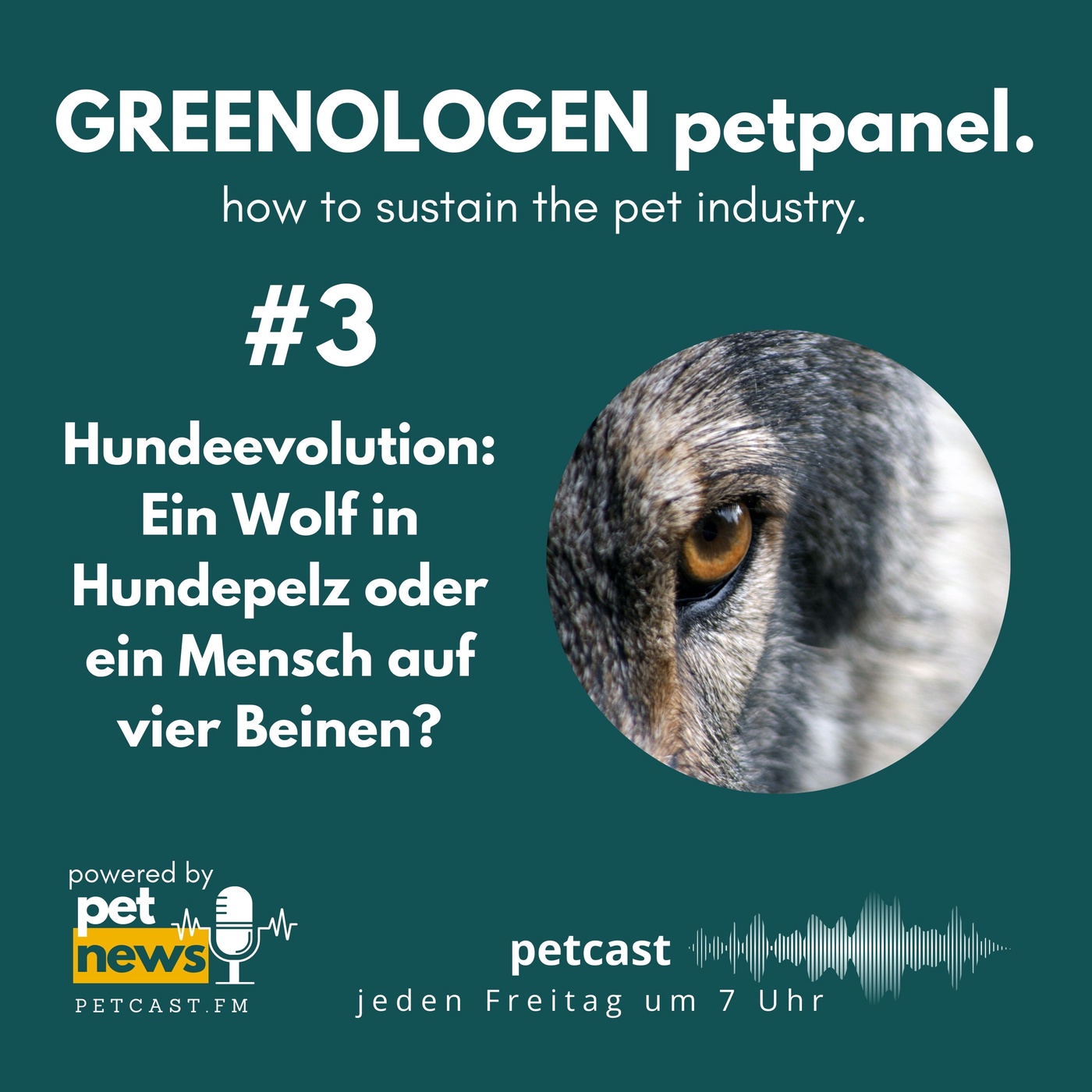 #3 - Hundeevolution: Ein Wolf in Hundepelz oder ein Mensch auf vier Beinen?