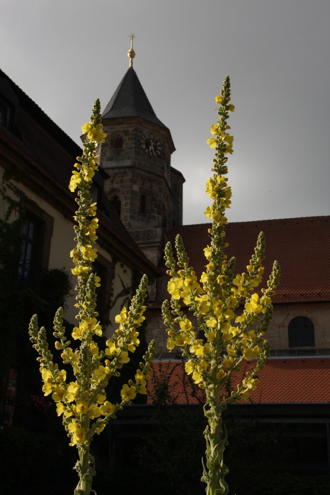 Jesus will unseren Lebenshunger stillen