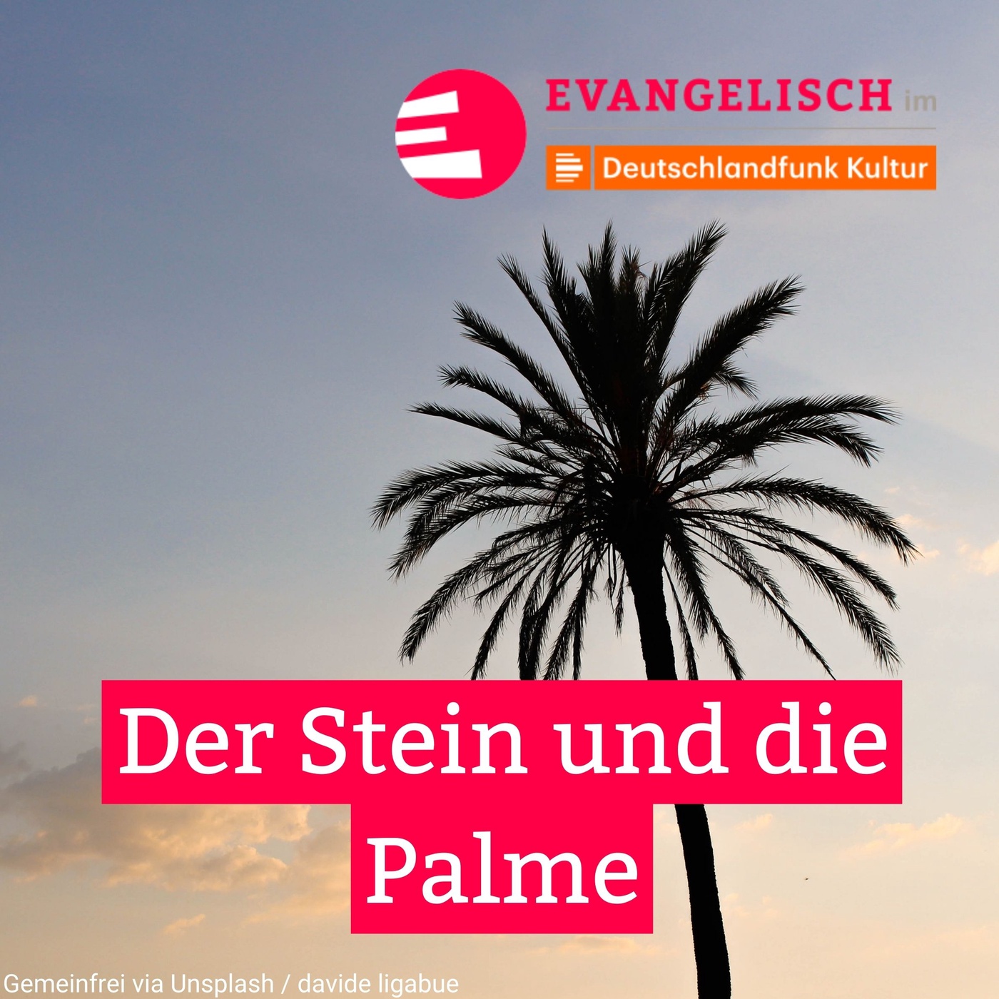 Der Stein und die Palme