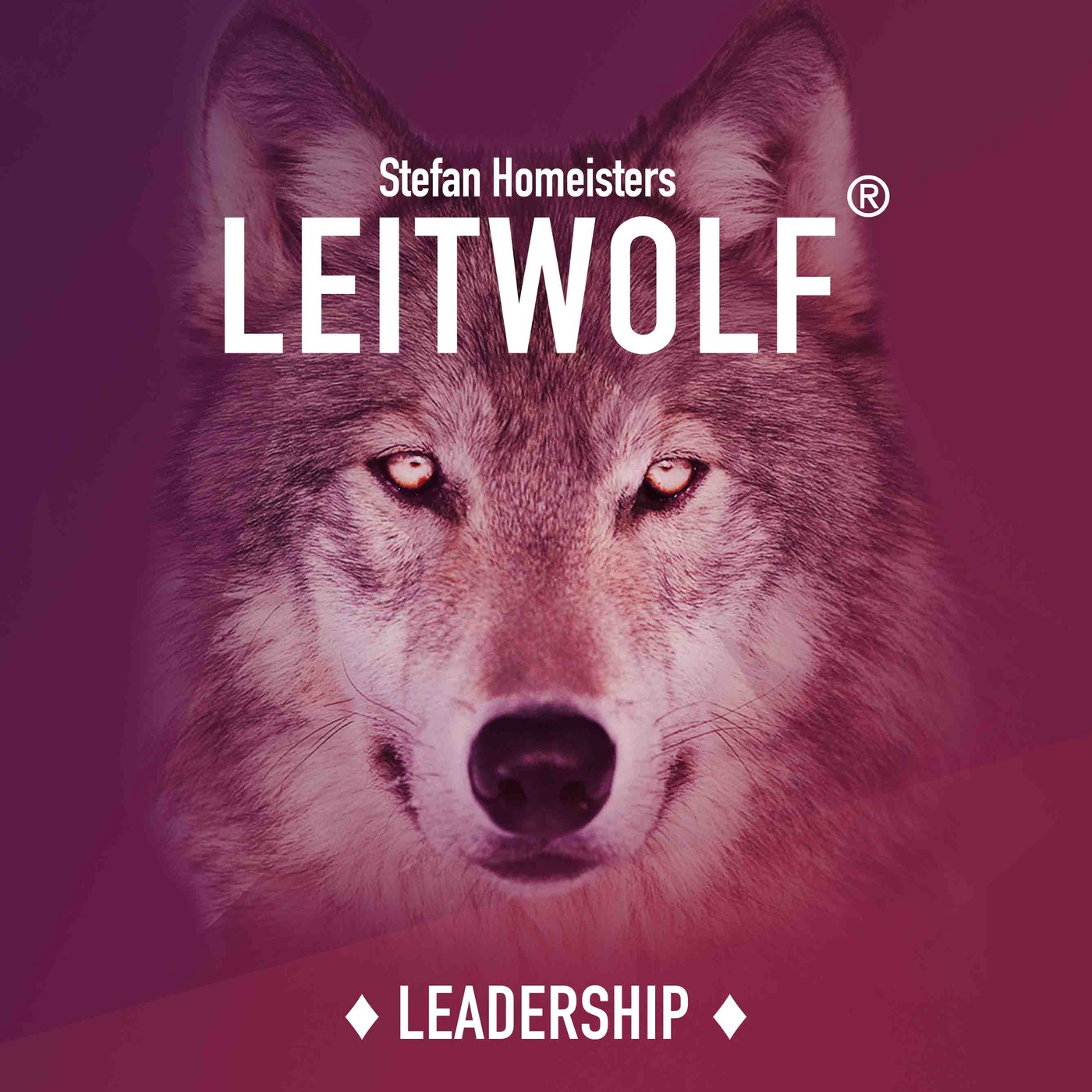 🇬🇧 Leitwolf Learnings June - And it does work!