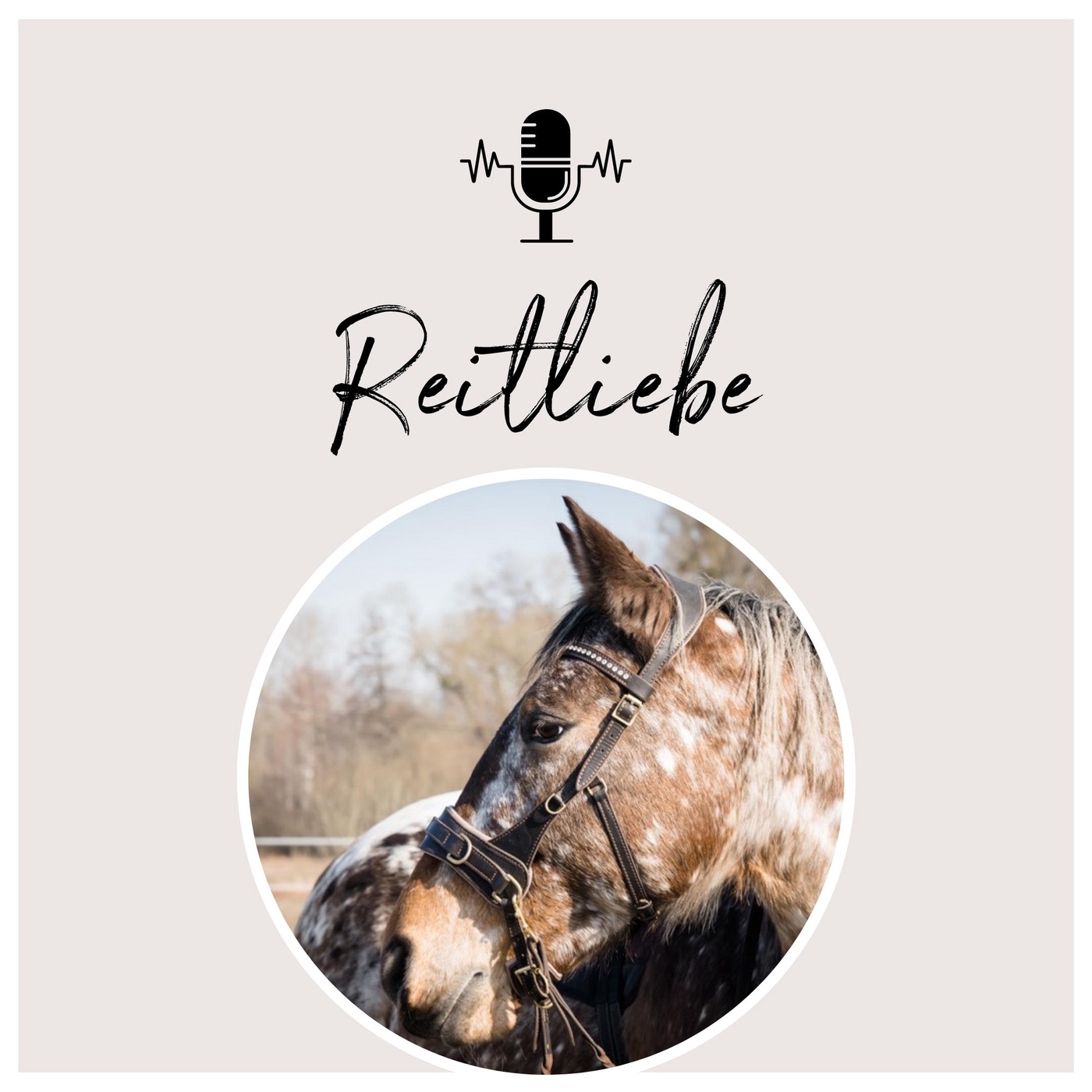 Warum deine Gedanken immer mitreiten