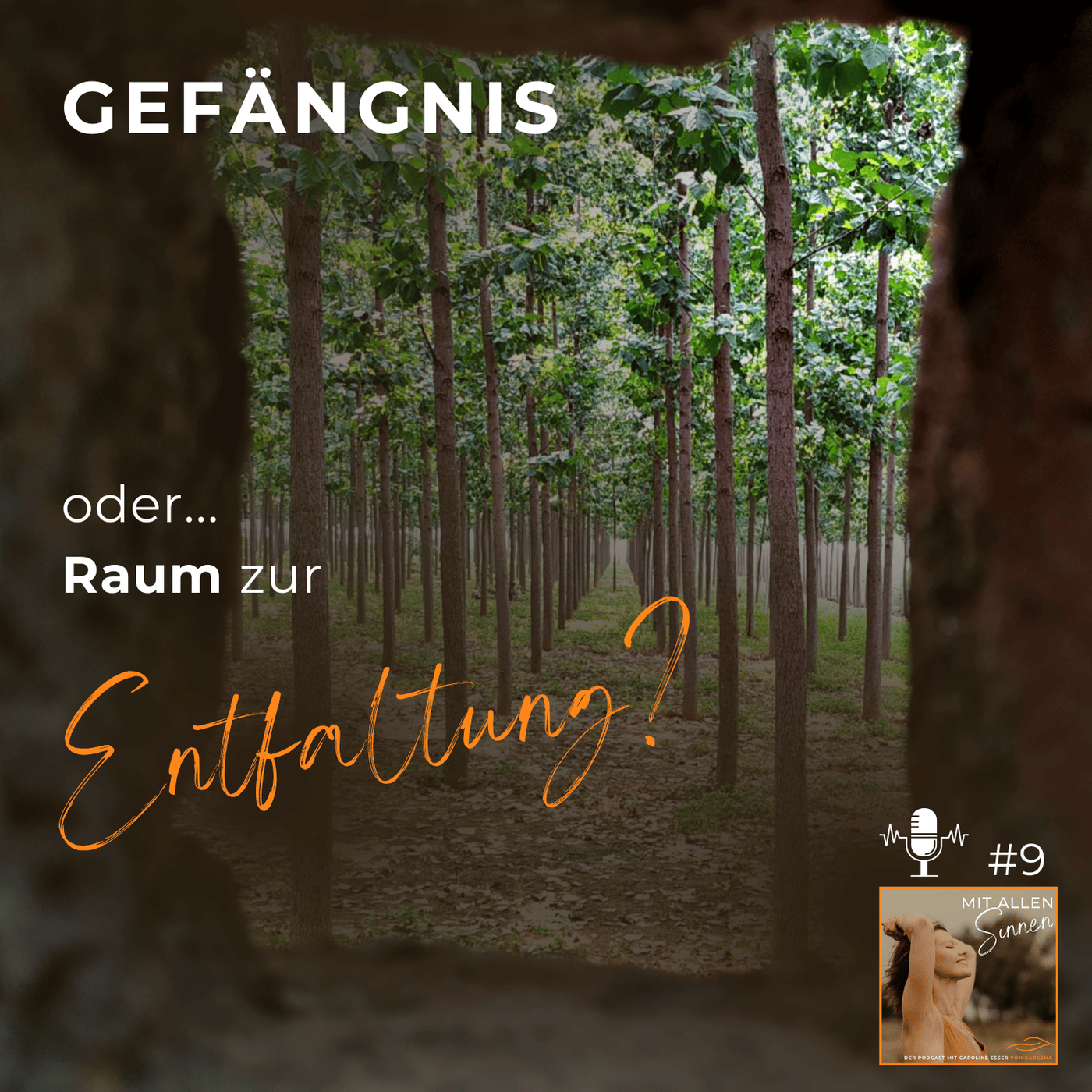 # 9 – Gefängnis oder Raum zur Entfaltung