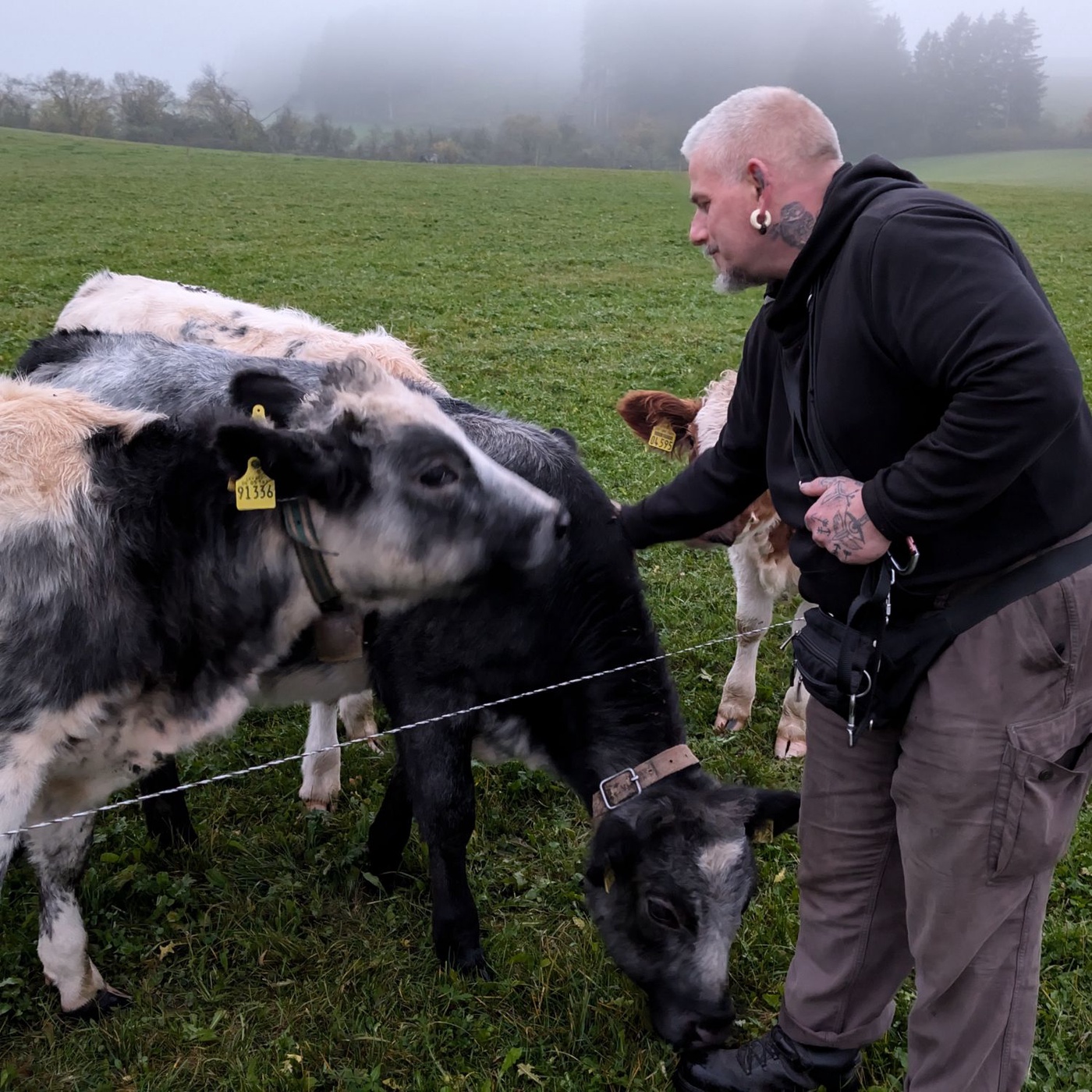 Folge 9: Schmidti kommt ins Allgäu und findet sein Paradis