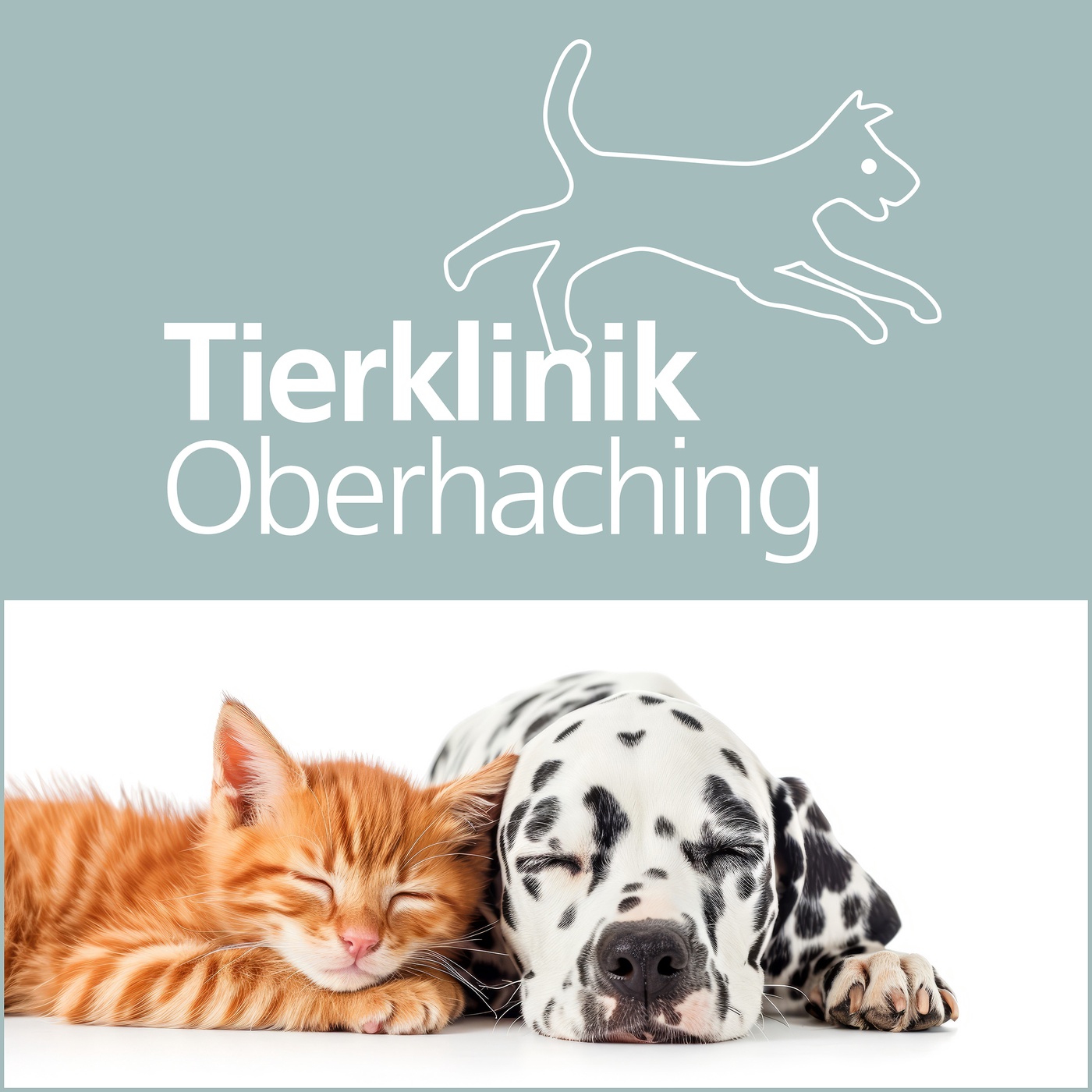 Tierisch gesund – Medizin, Tipps und Geschichten aus der Tierklinik Oberhaching