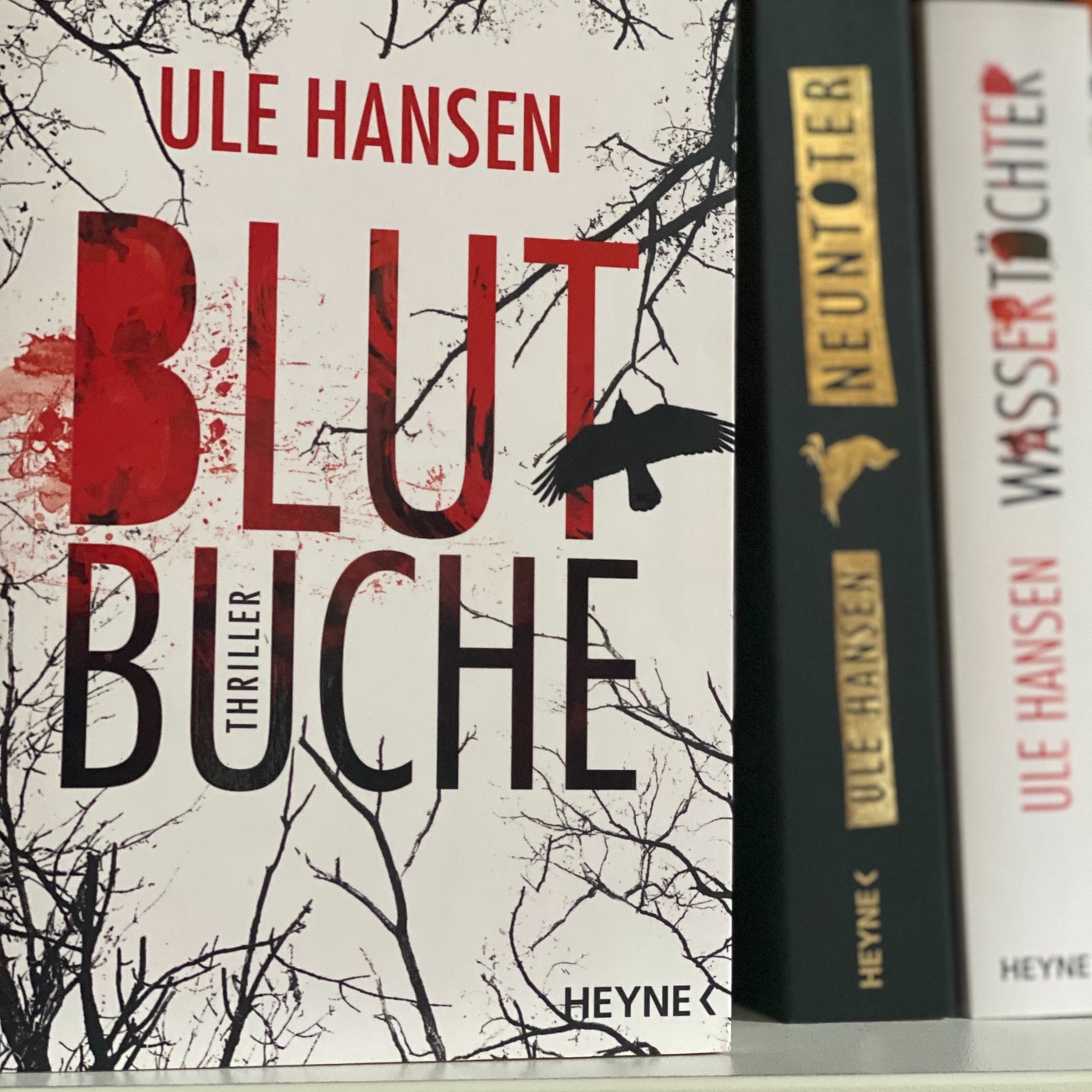 Die Schreibenden Ule Hansen