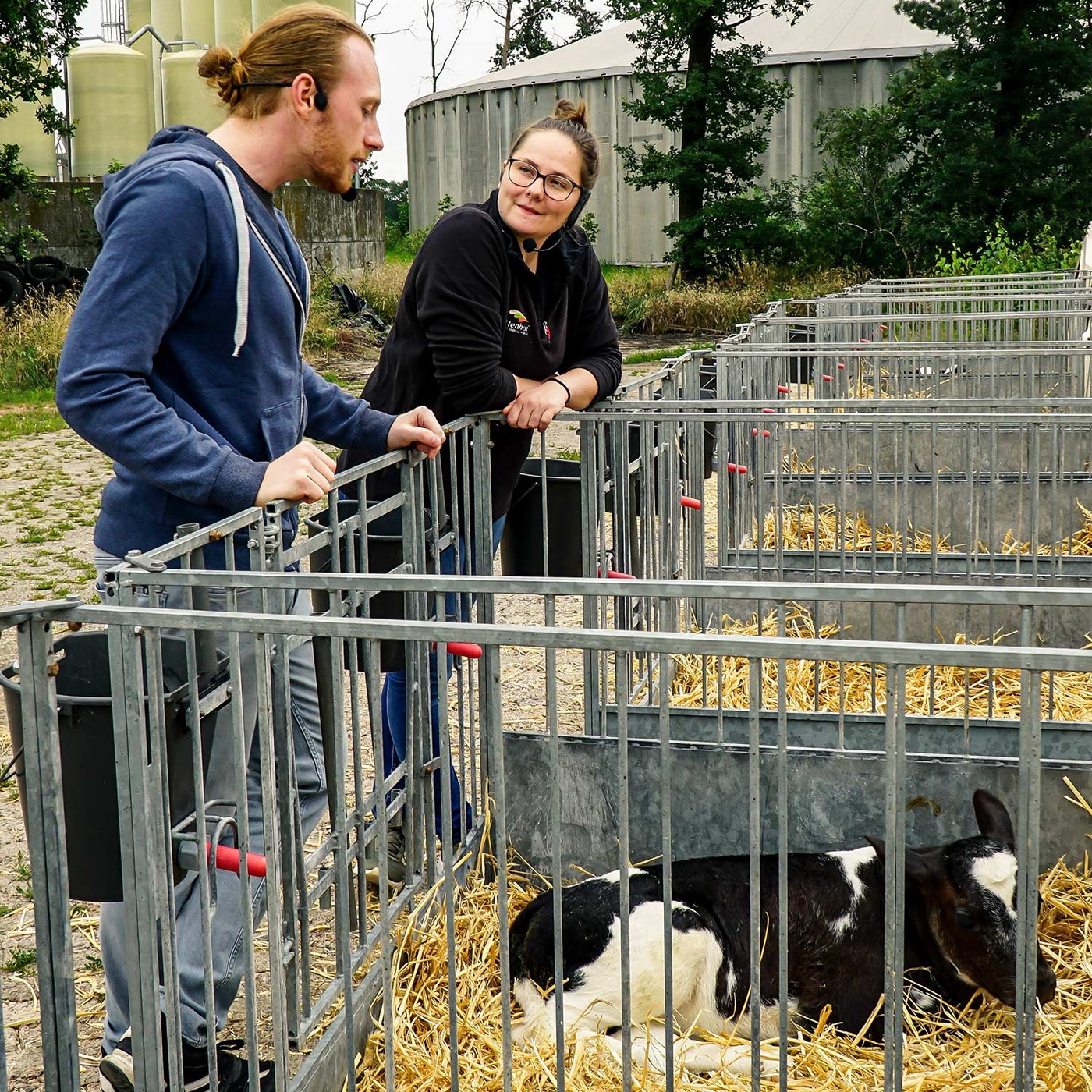 #011 Kuh und Kalb trennen: Muss das sein?