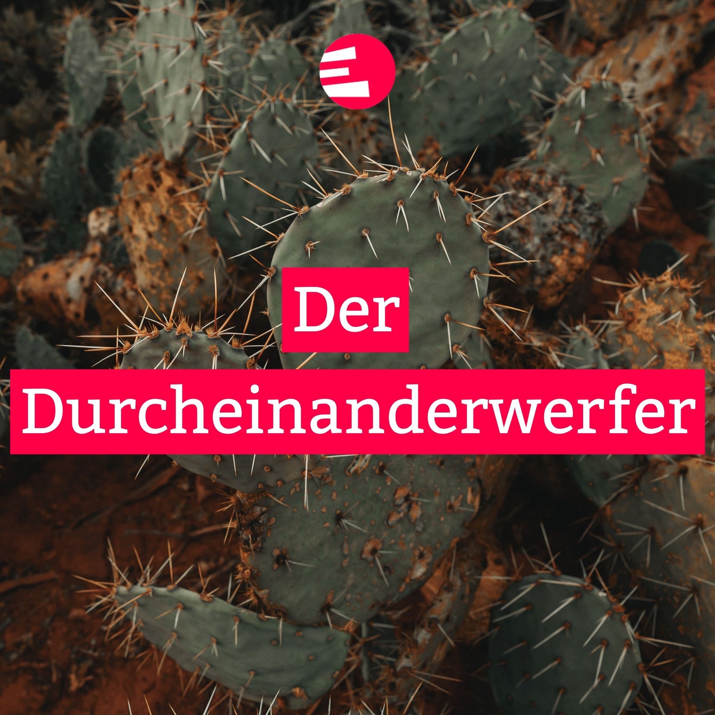 Der Durcheinanderwerfer