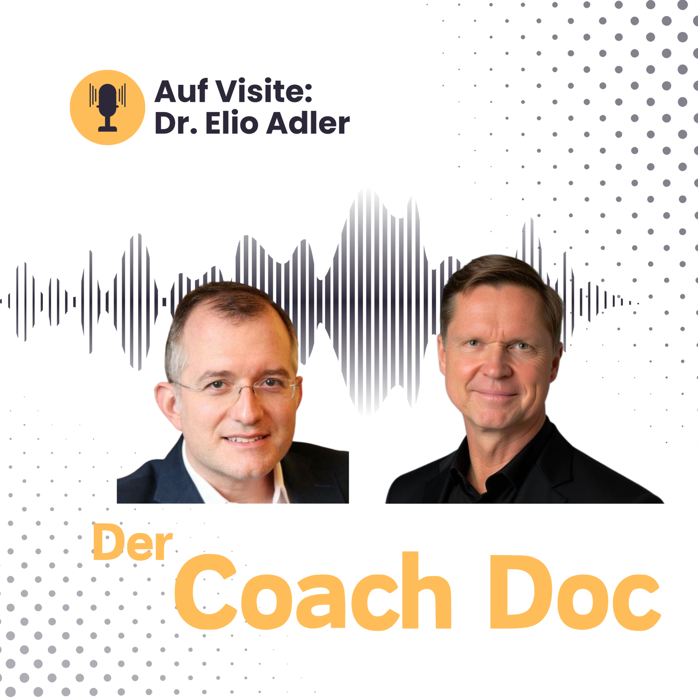 Wie man politische Allianzen und Netzwerke aufbaut 