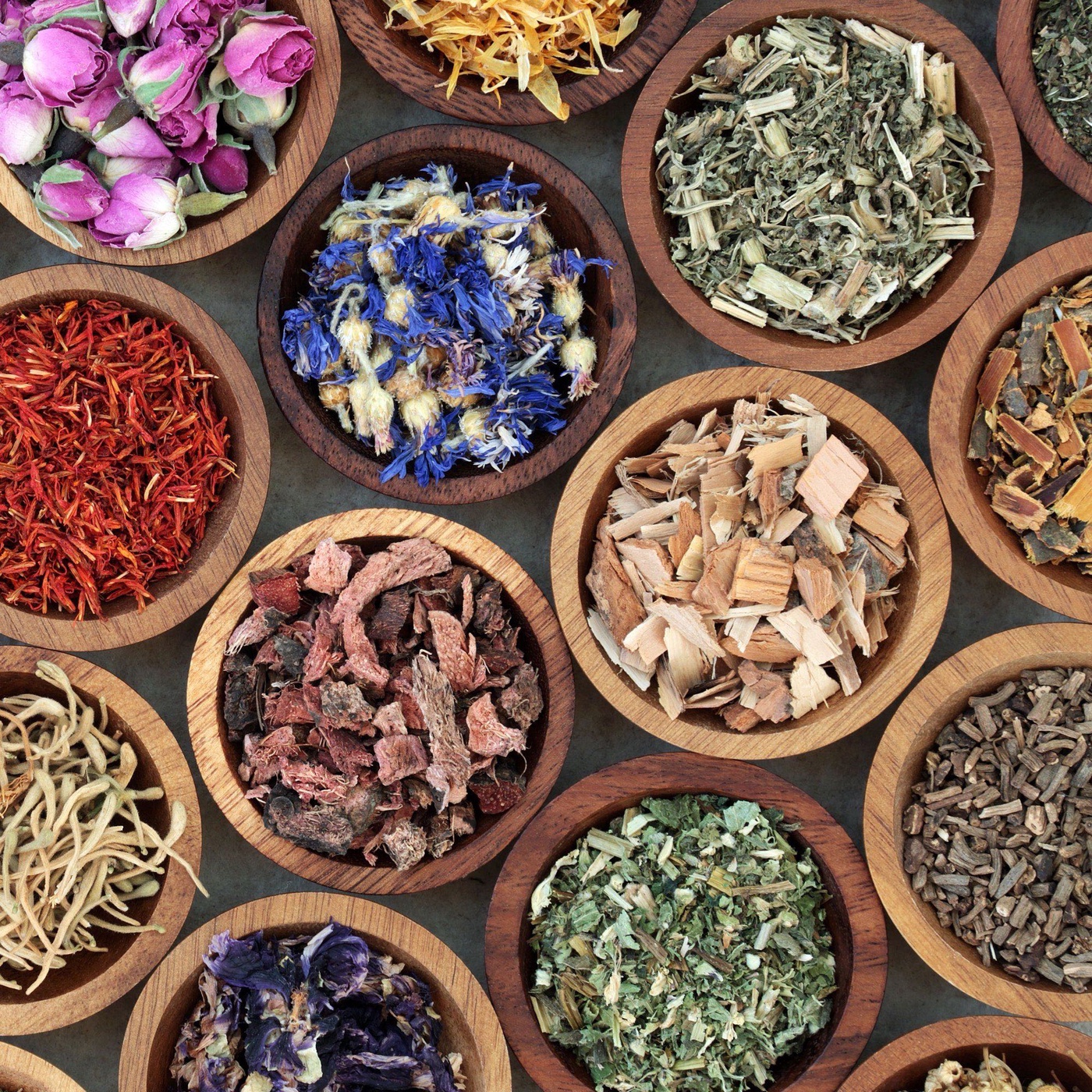 Der beste Futtertrick für artgerechte Fütterung