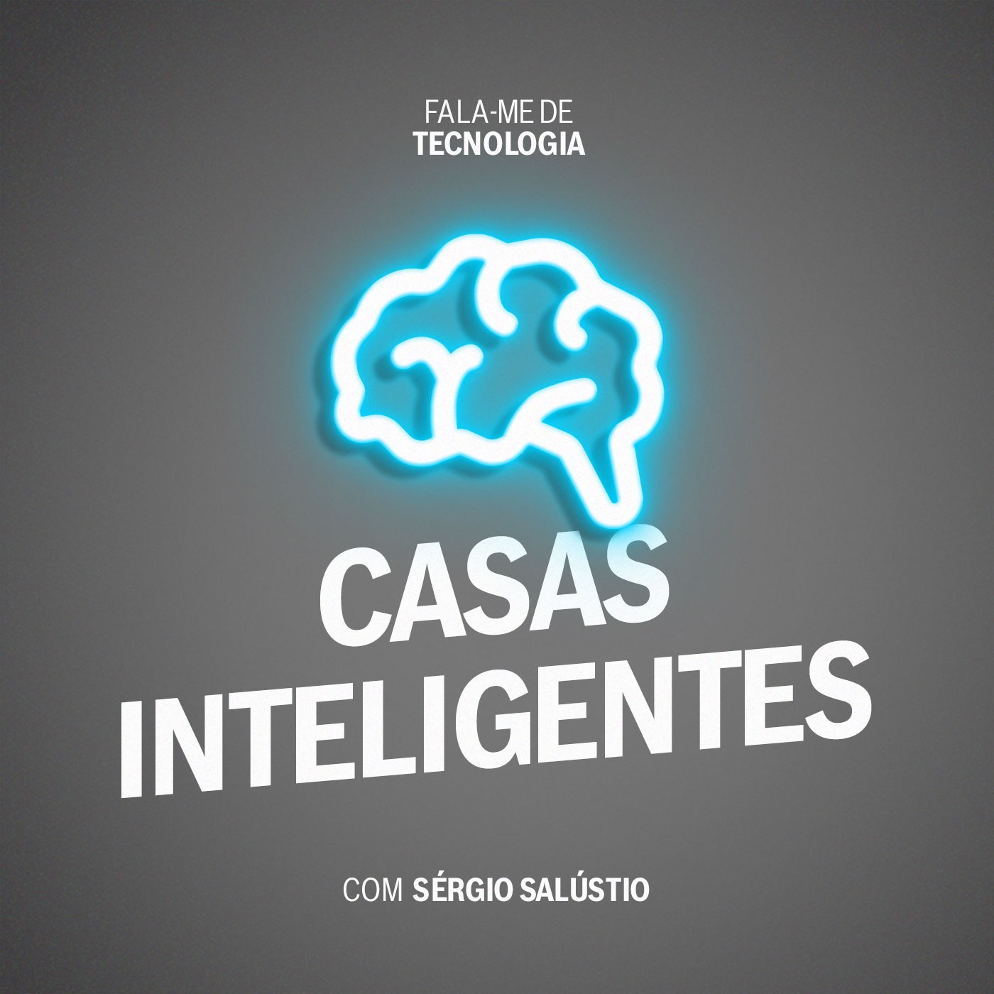 CASAS INTELIGENTES: Como serão estes 