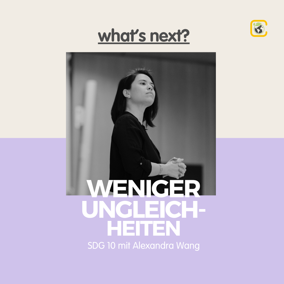 Wohlstand fair verteilen mit Alexandra Wang #10