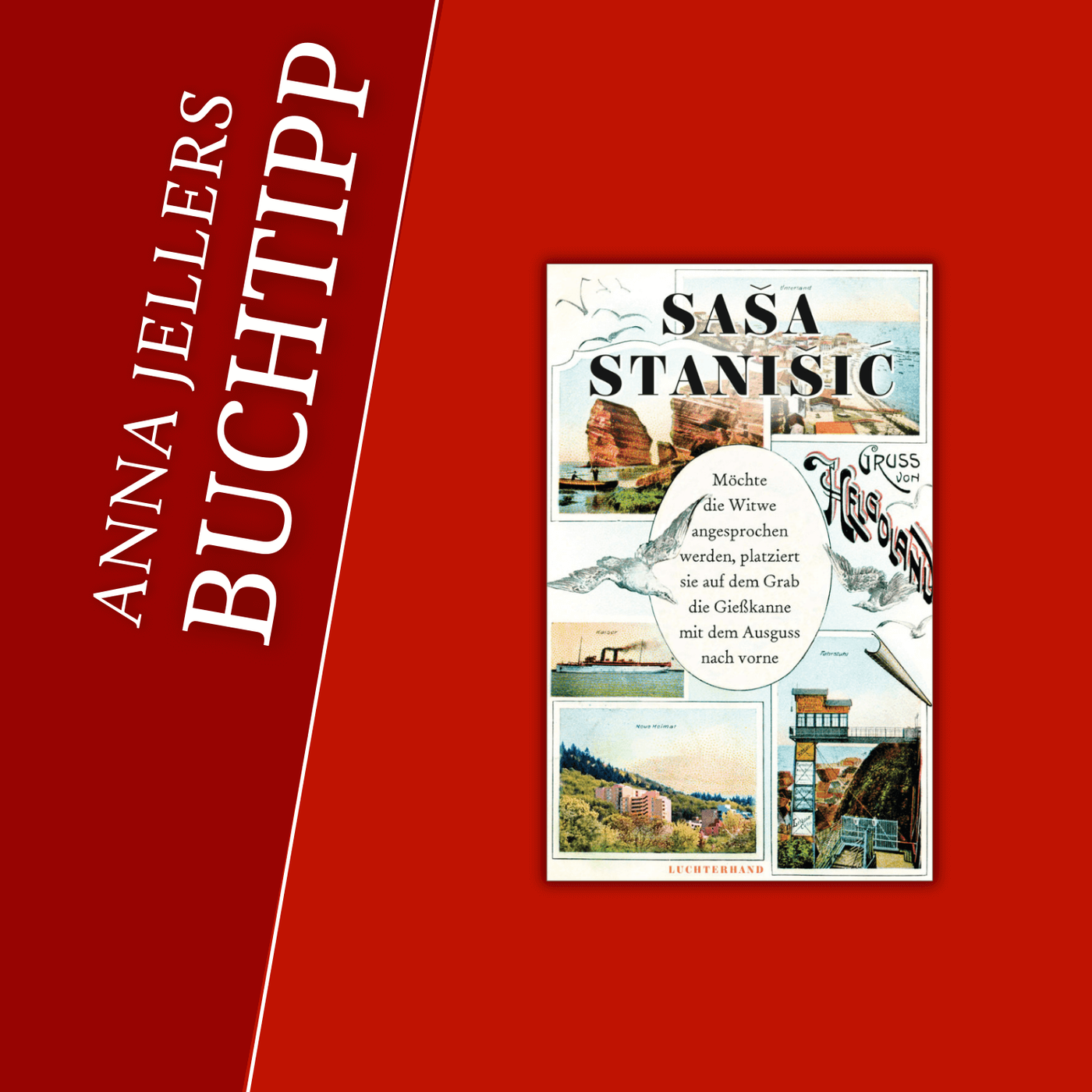 Anna Jellers Buchtipp | Saša Stanišić: Möchte die Witwe angesprochen werden,...