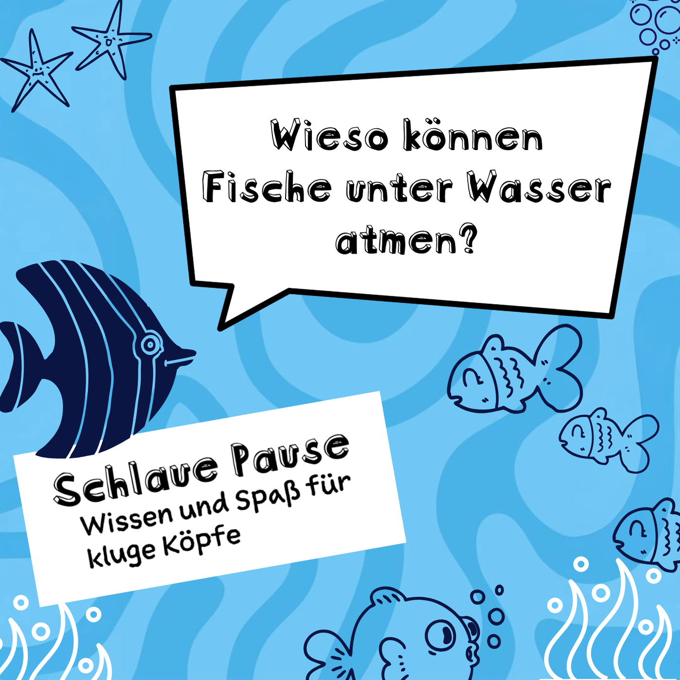 #26 Wieso können Fische unter Wasser atmen?