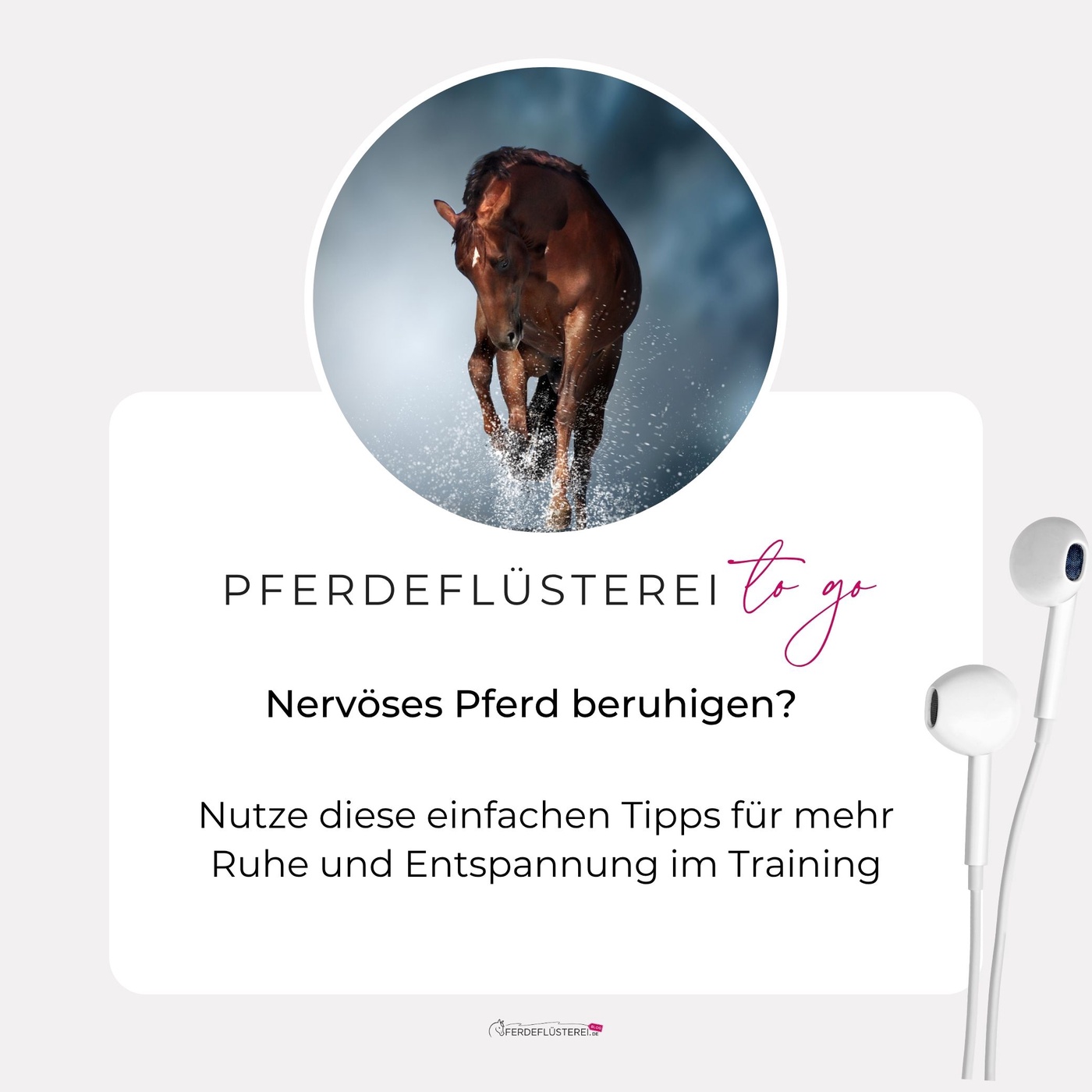 Schreckhaftes Pferd? DAS macht den Unterschied! 😮