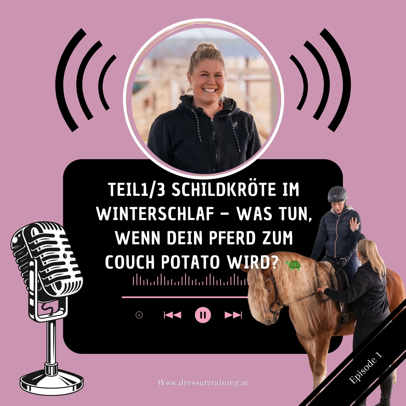 Schildkröte im Winterschlaf – was tun, wenn dein Pferd zum Couch Potato wird? 🐢