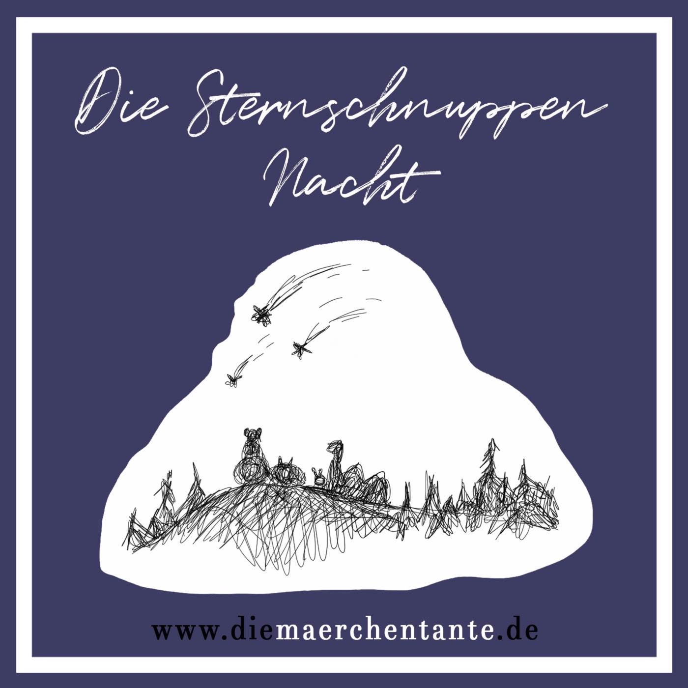 Die Sternschnuppennacht (für Kinder)