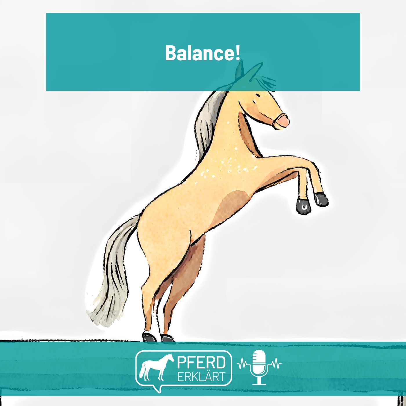 Balance für Pferde - 