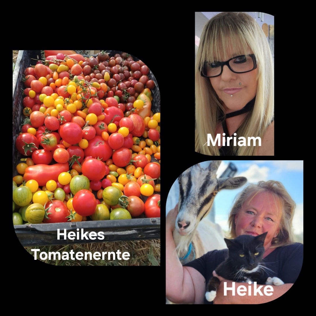 Das kanadische Essen 