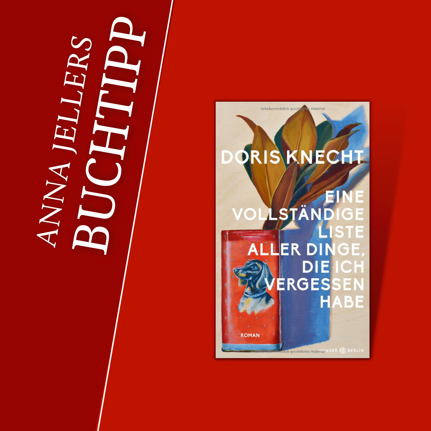 Anna Jellers Buchtipp | Doris Knecht: Eine vollständige Liste aller Dinge, die ich vergessen habe