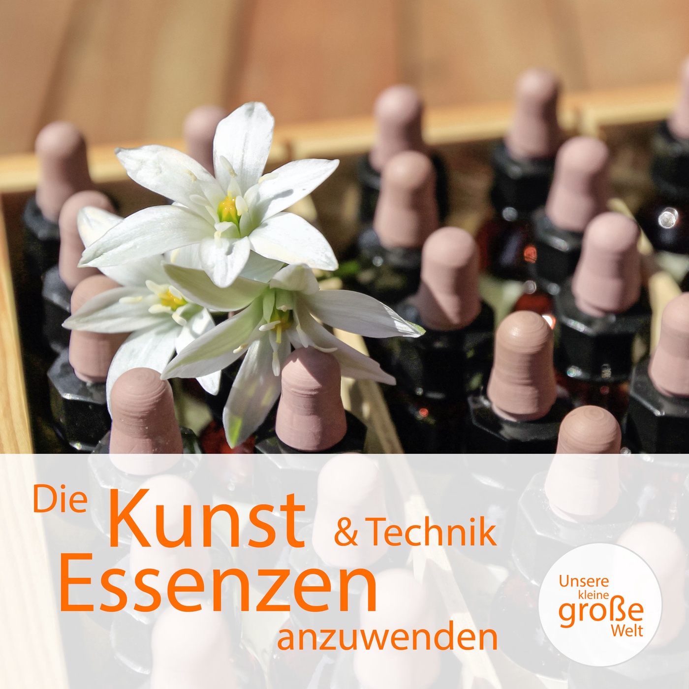 Die Kunst & Technik Essenzen anzuwenden