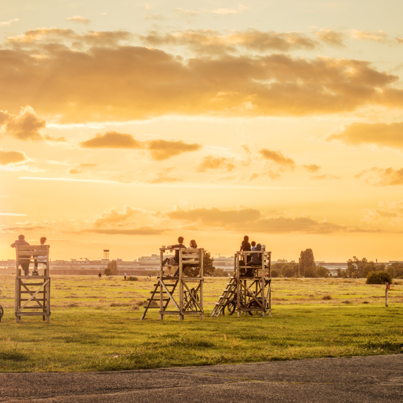 Ein weites Feld – Frei- und Naturraum Tempelhofer Feld