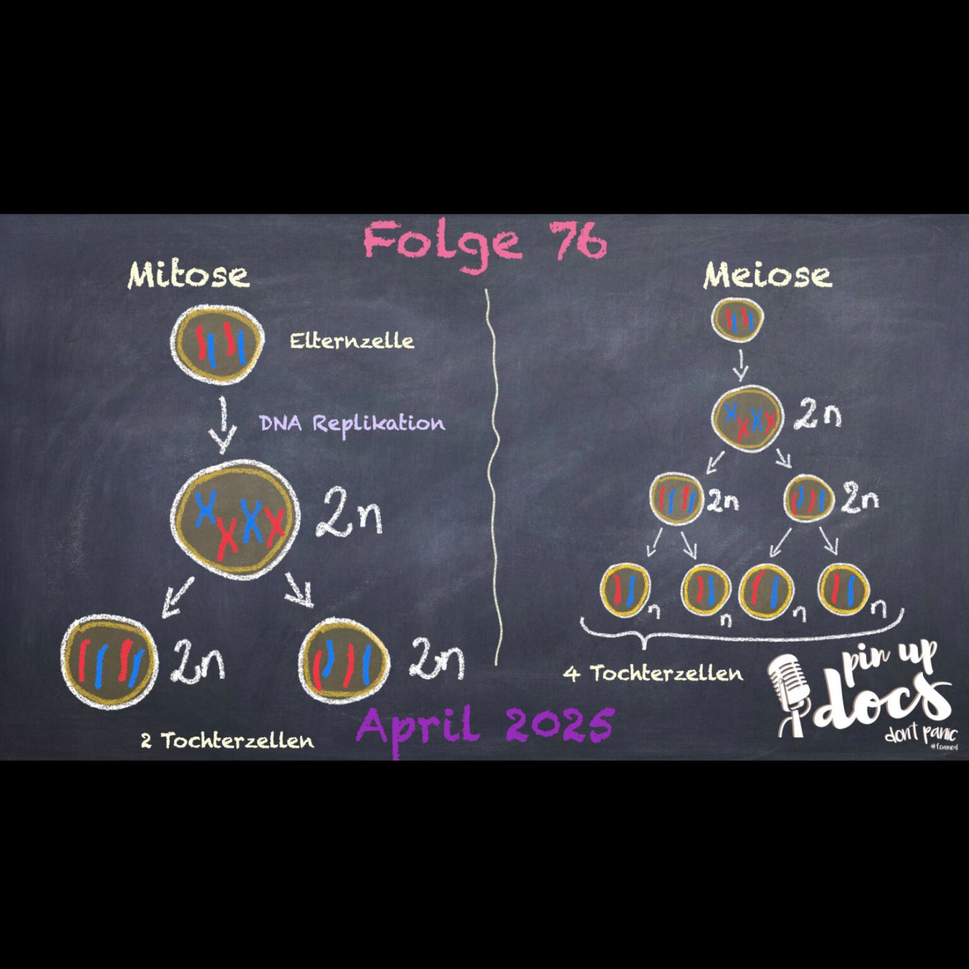 Hauptfolge 76 - April 2025