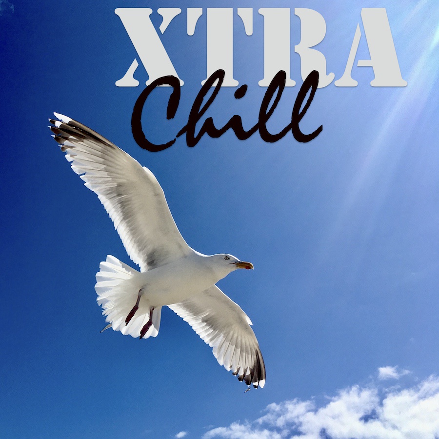 XtraChill 328