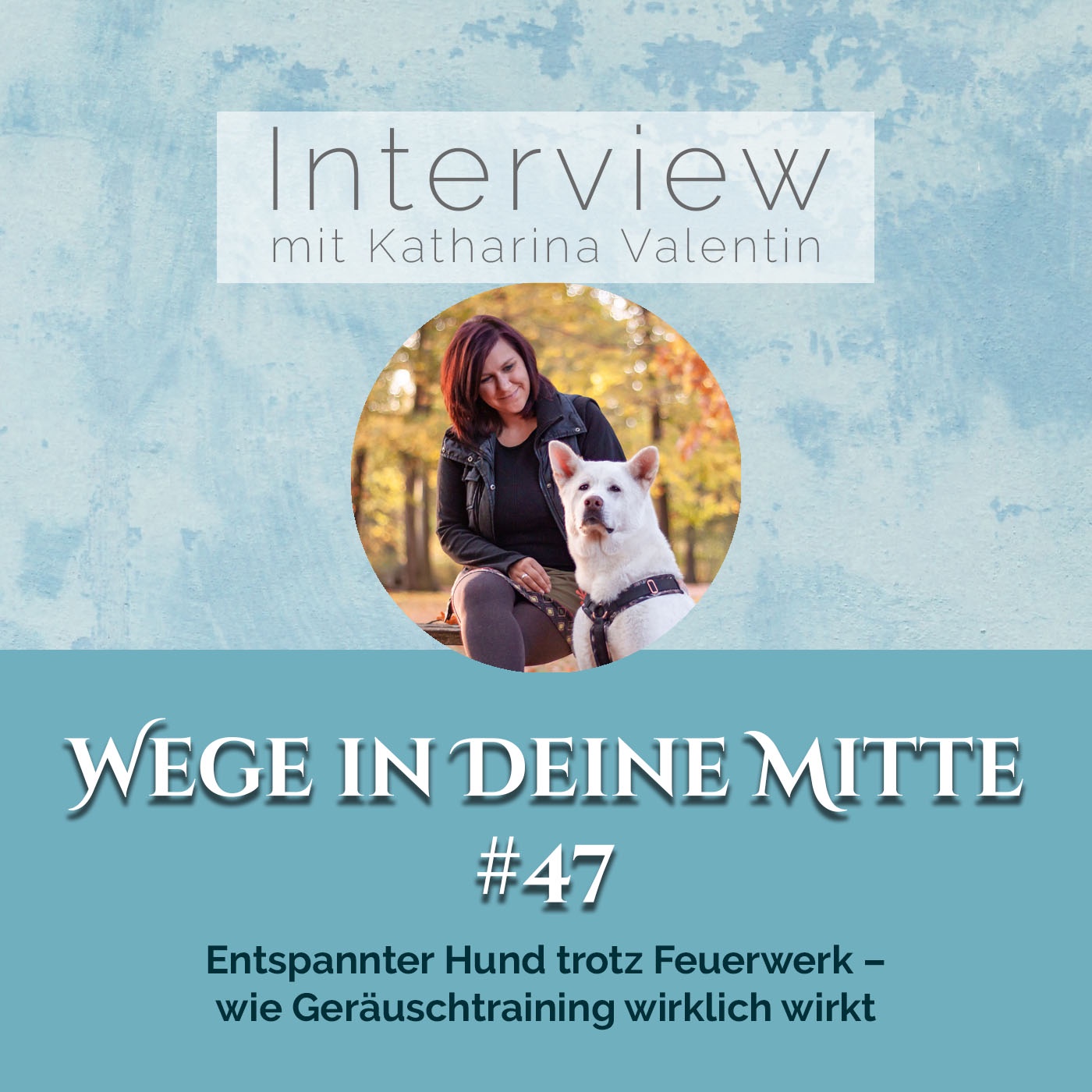 Entspannter Hund trotz Feuerwerk – wie Geräuschtraining wirklich wirkt (Episode 47)