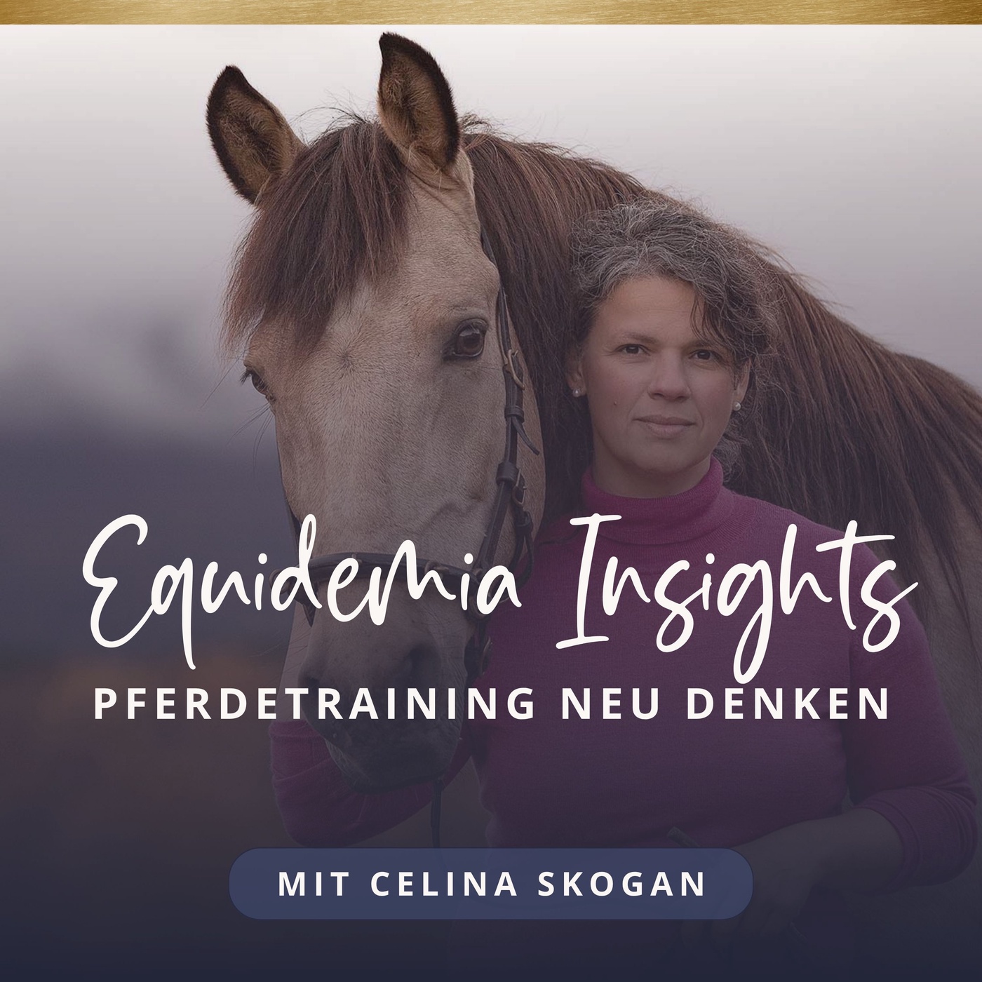 Equidemia Insights