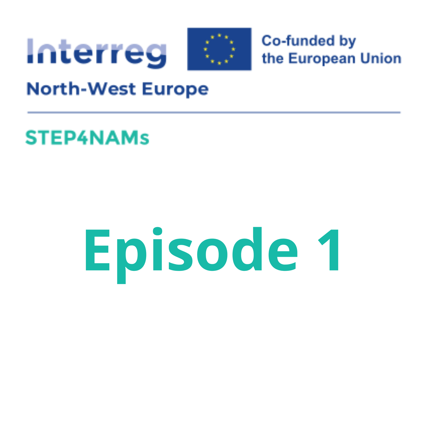 Welcome to STEP4NAMs