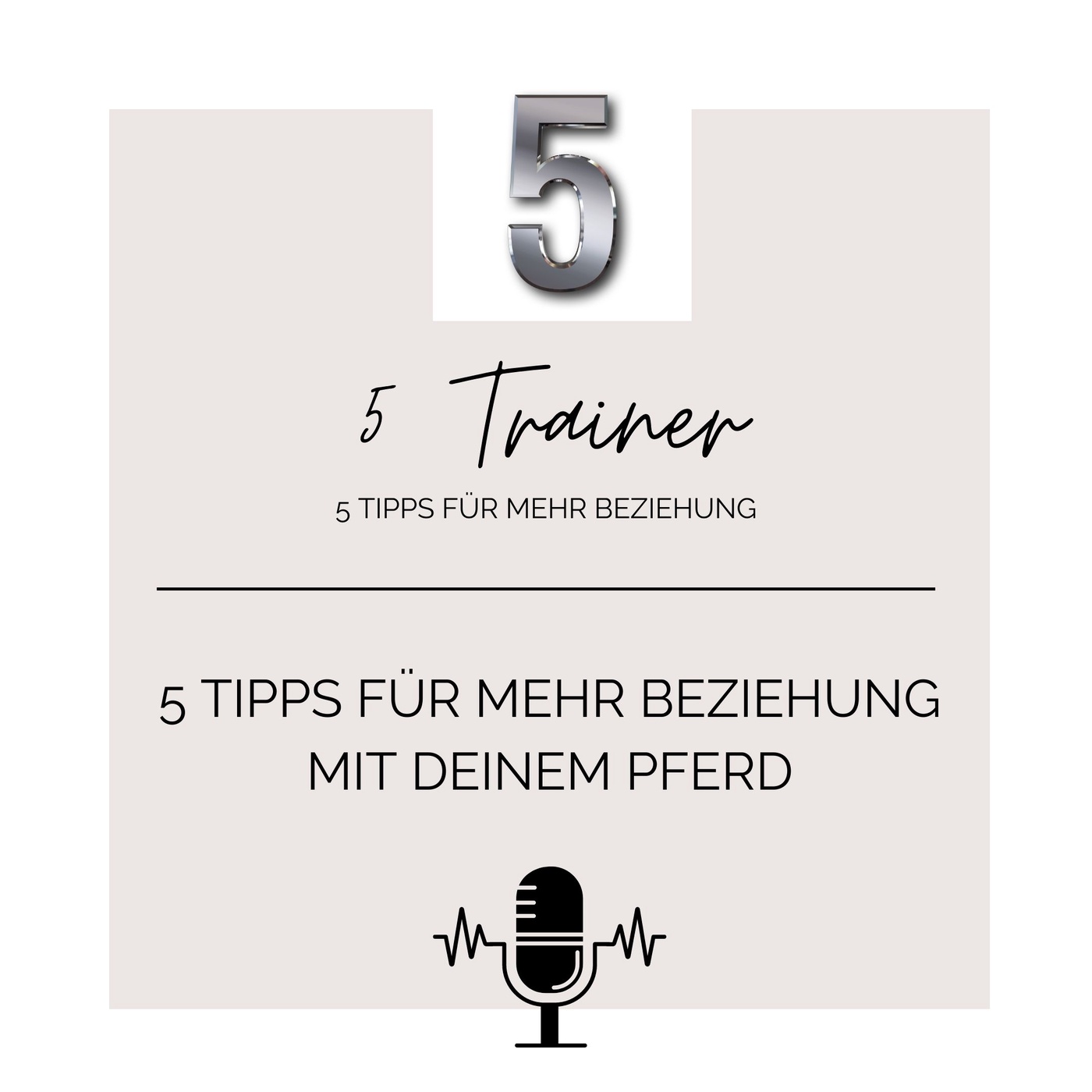 5 Tipps von 5 Trainern für eine bessere Beziehung zum Pferd