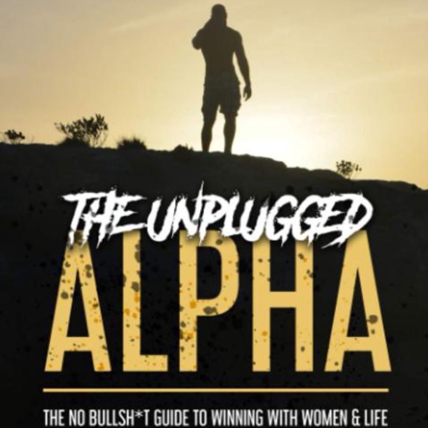 The Unplugged Alpha: Key Insights and Summary Breakdown