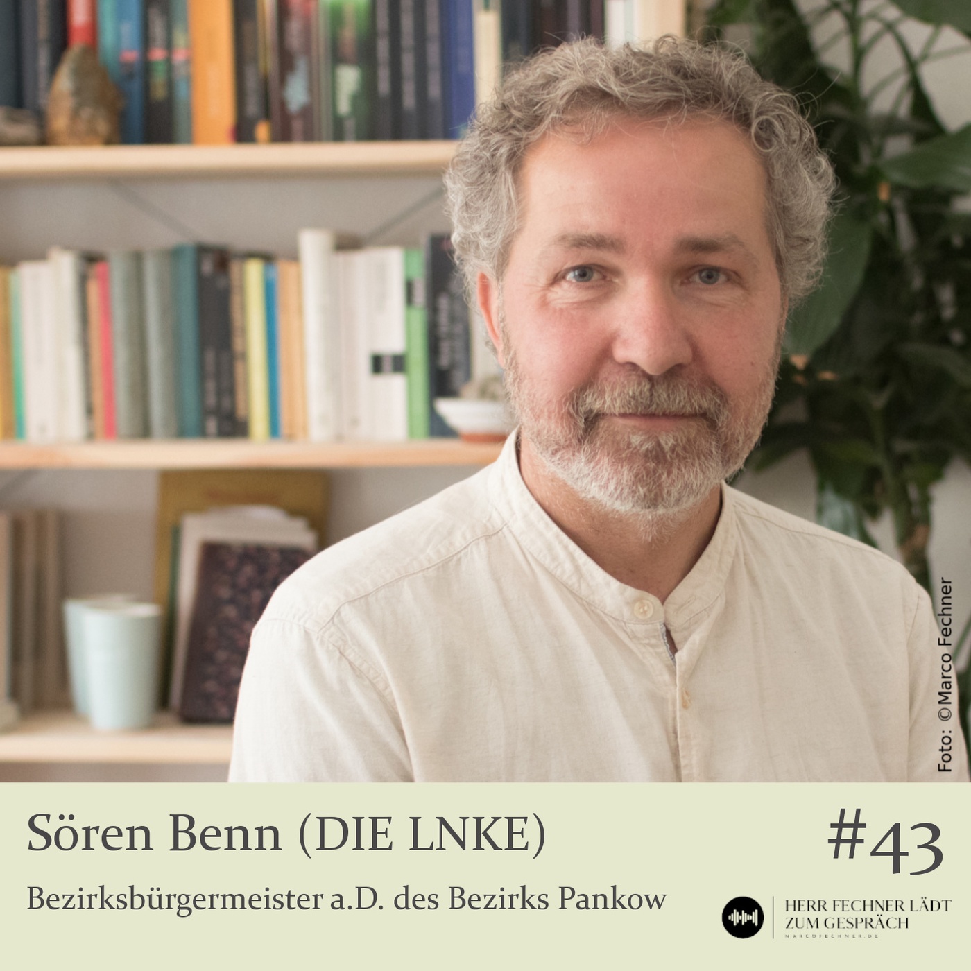 Sören Benn, Bezirksbürgermeister a.D. (Berlin-Pankow)