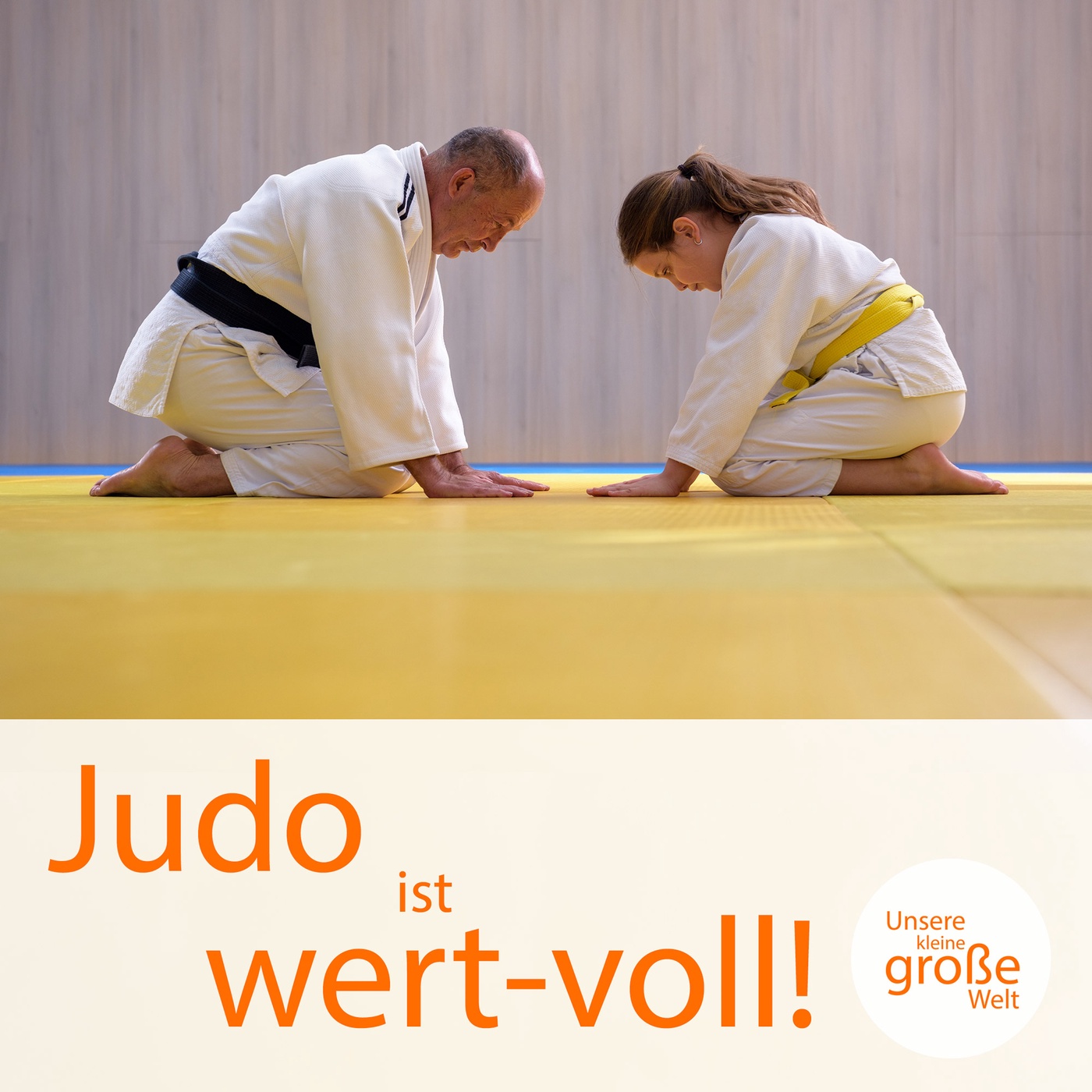 Judo ist wert-voll!