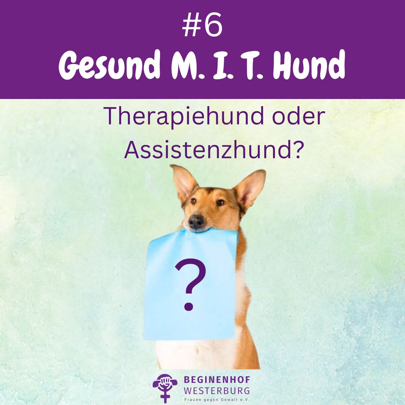 #6 Gesund MIT Hund - Begrifferklärung