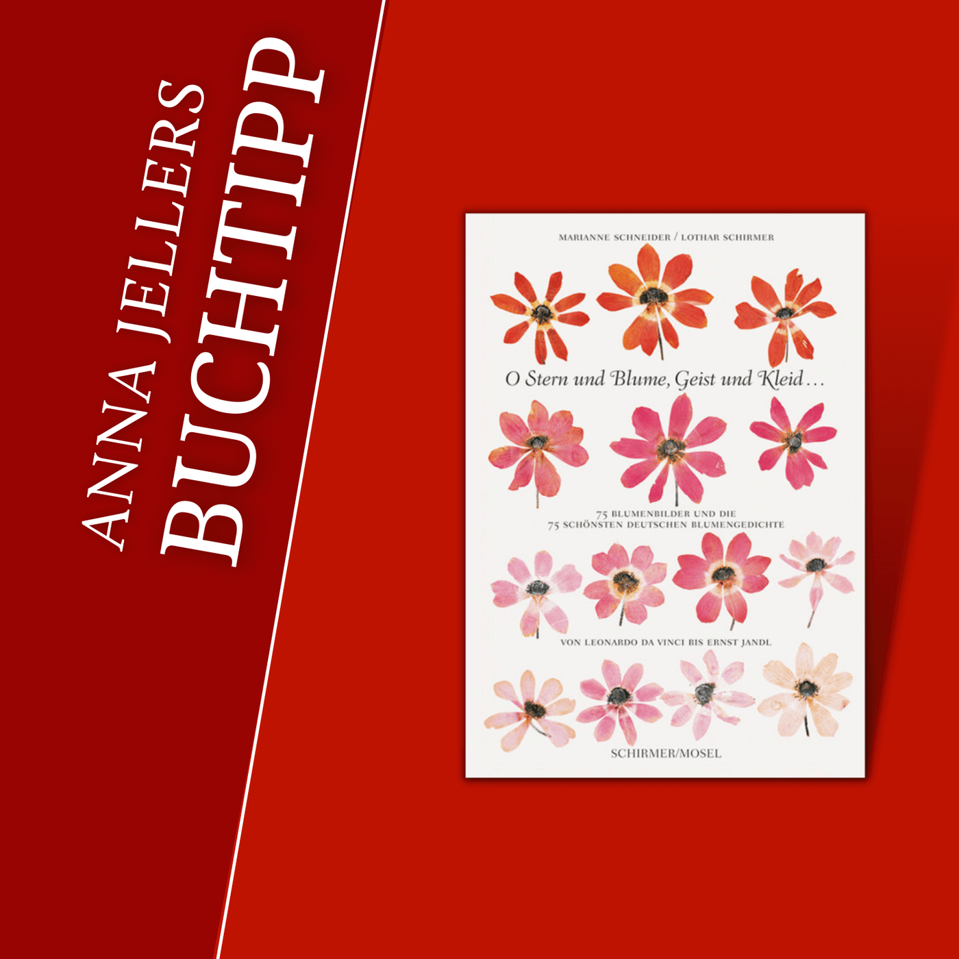 Anna Jellers Buchtipp | Marianne Schneider, Lothar Schirmer (Hrsg.): O Stern und Blume, Geist und Kleid...