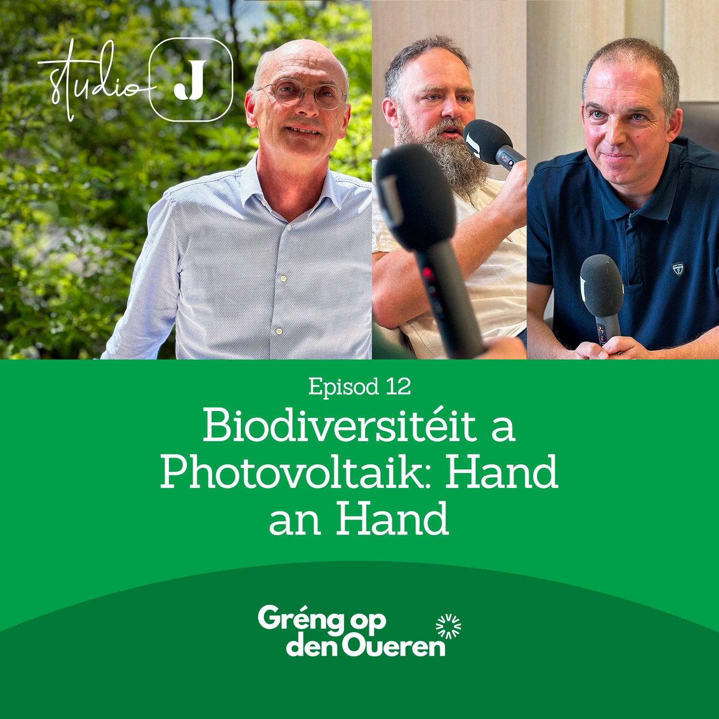 Biodiversitéit a Photovoltaik: Hand an Hand