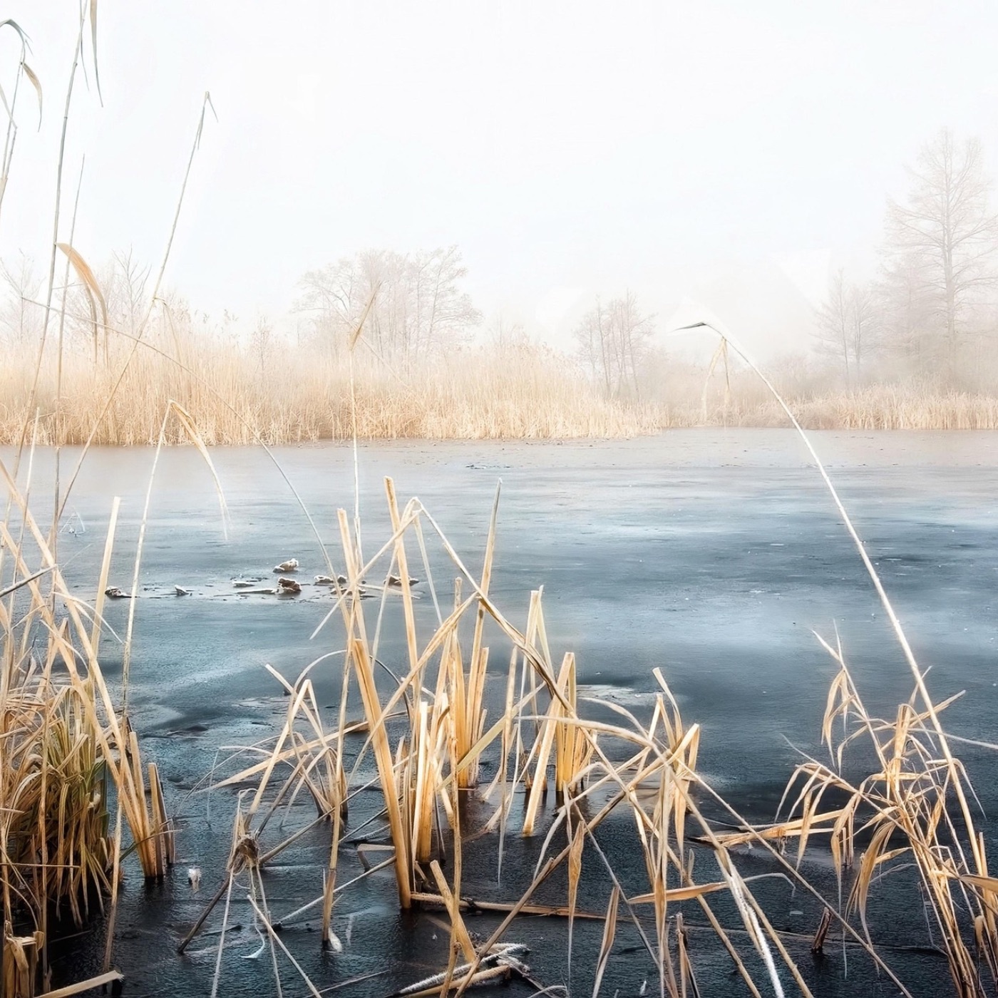 Breathwork  Atemarbeit