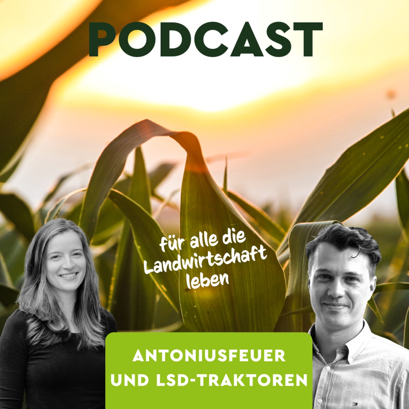 Antoniusfeuer und LSD-Traktoren