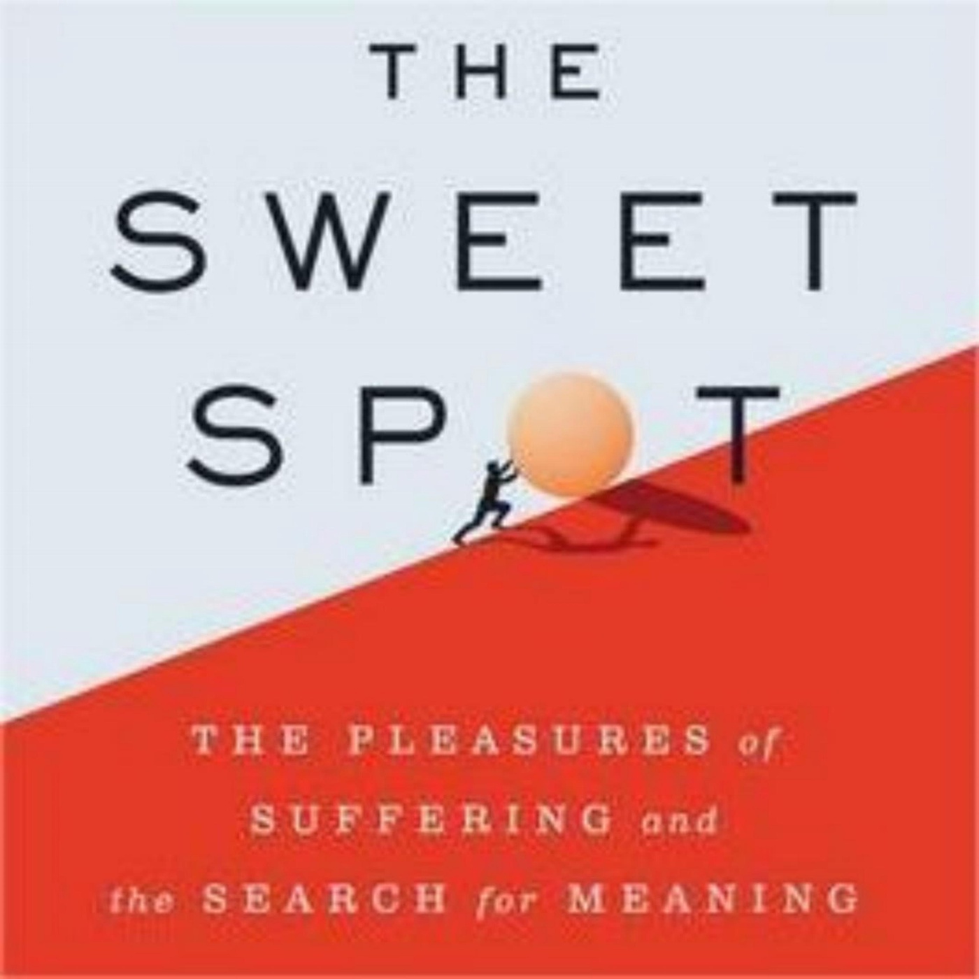 Finding the Perfect Balance: Exploring The Sweet Spot Book by Paul Bloom