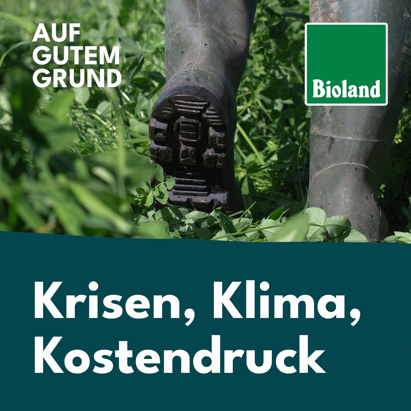 Krisen, Klima, Kostendruck: Wohin steuert die Biolandwirtschaft? 