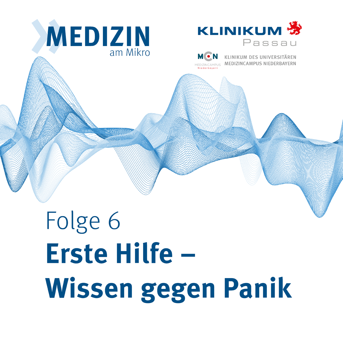 Erste Hilfe - Wissen gegen Panik